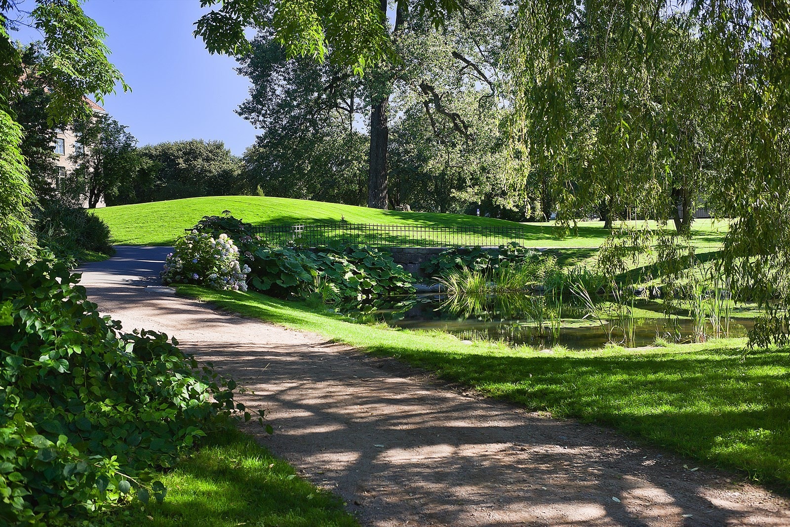 En liten spasertur unna ligger Botanisk hage. Som du ser, er dette bildet tatt på sommerstid. Galleribilde