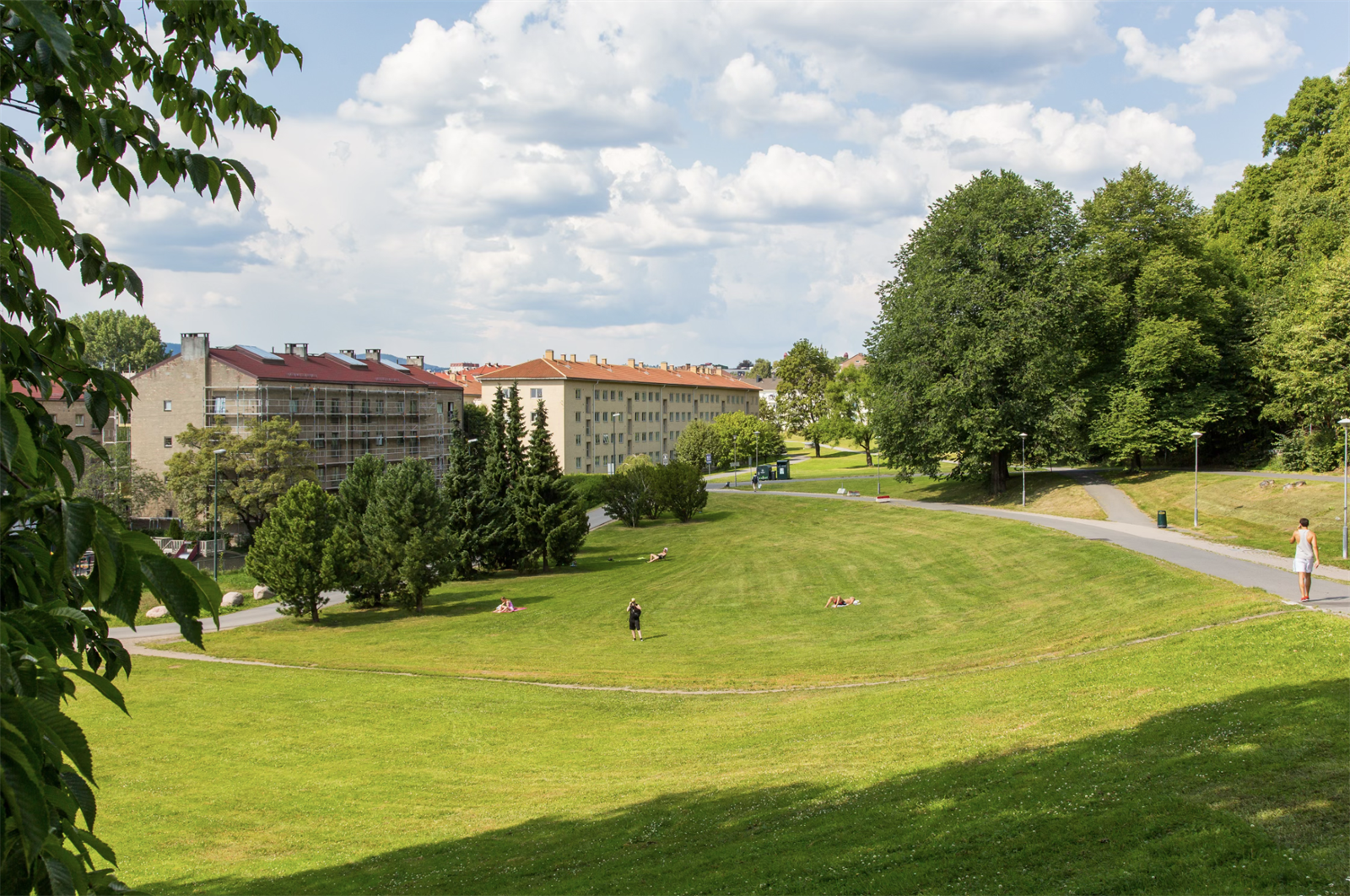 Tøyenparken er også svært hyppig besøkt på sommerstid. Galleribilde