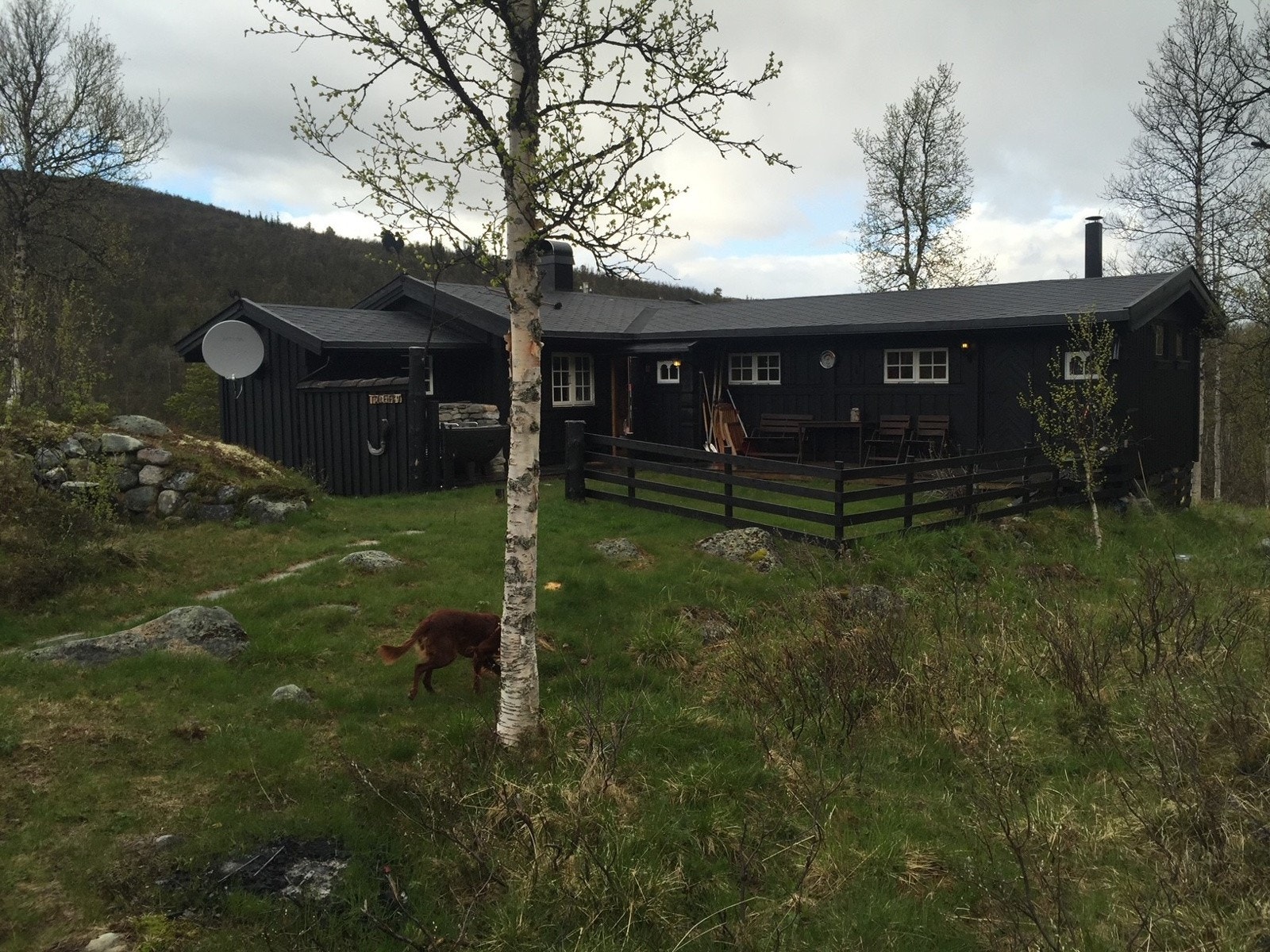 Selgers egne bilder fra andre årstider Galleribilde