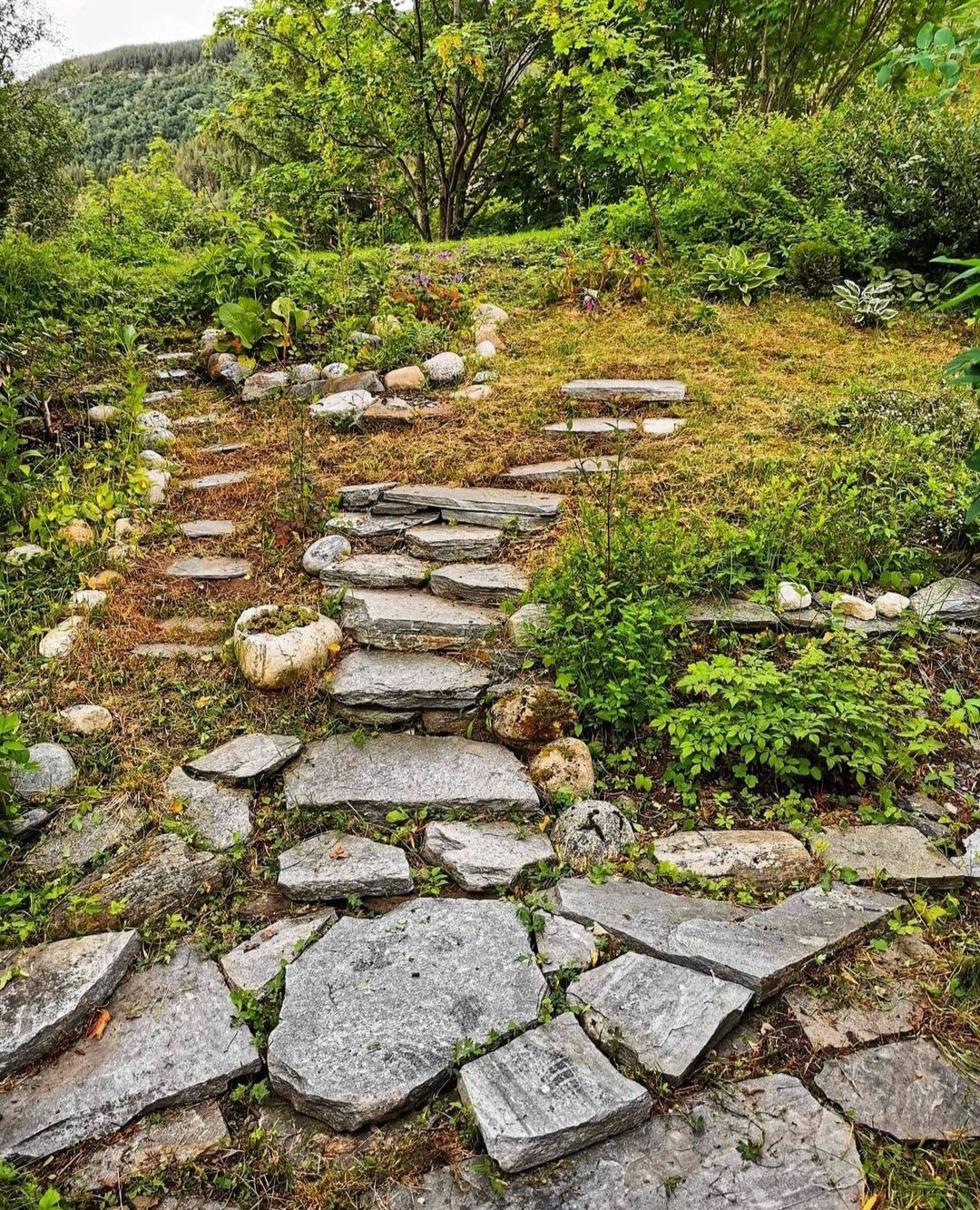 Bilde fra hagen på sommerstid Galleribilde