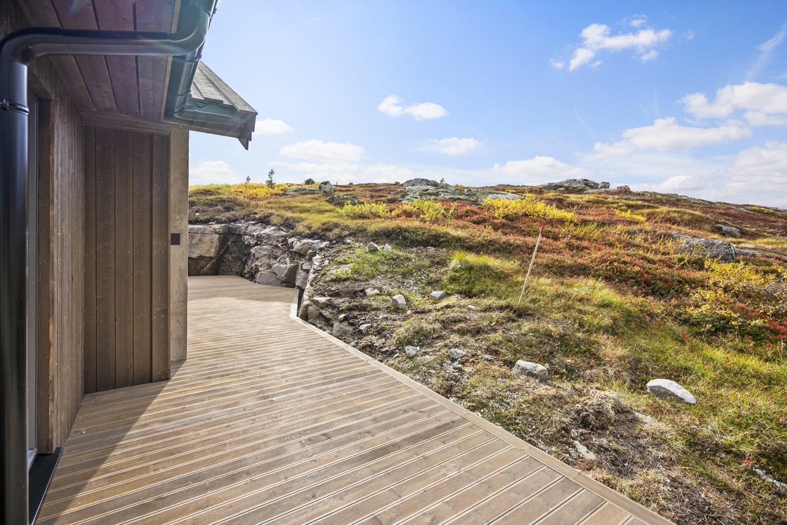 Flott naturtomt Galleribilde