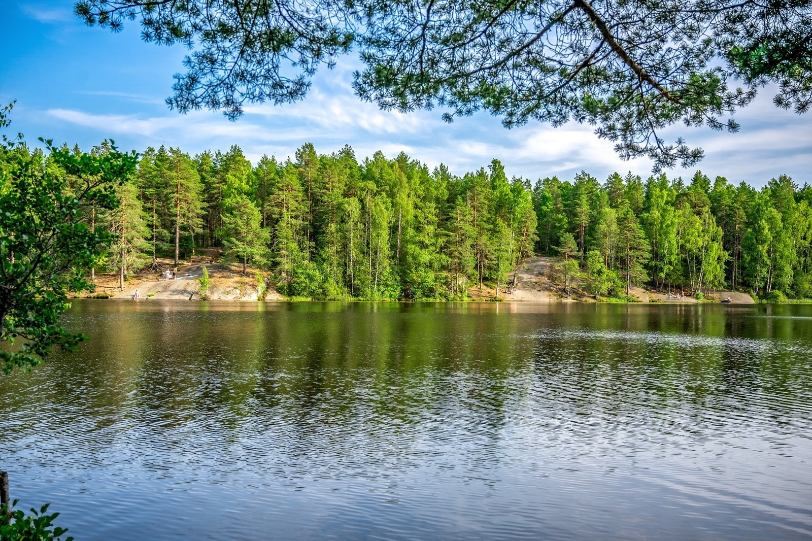 Ulsrudvannet - nydelig tur- og bade område. Galleribilde