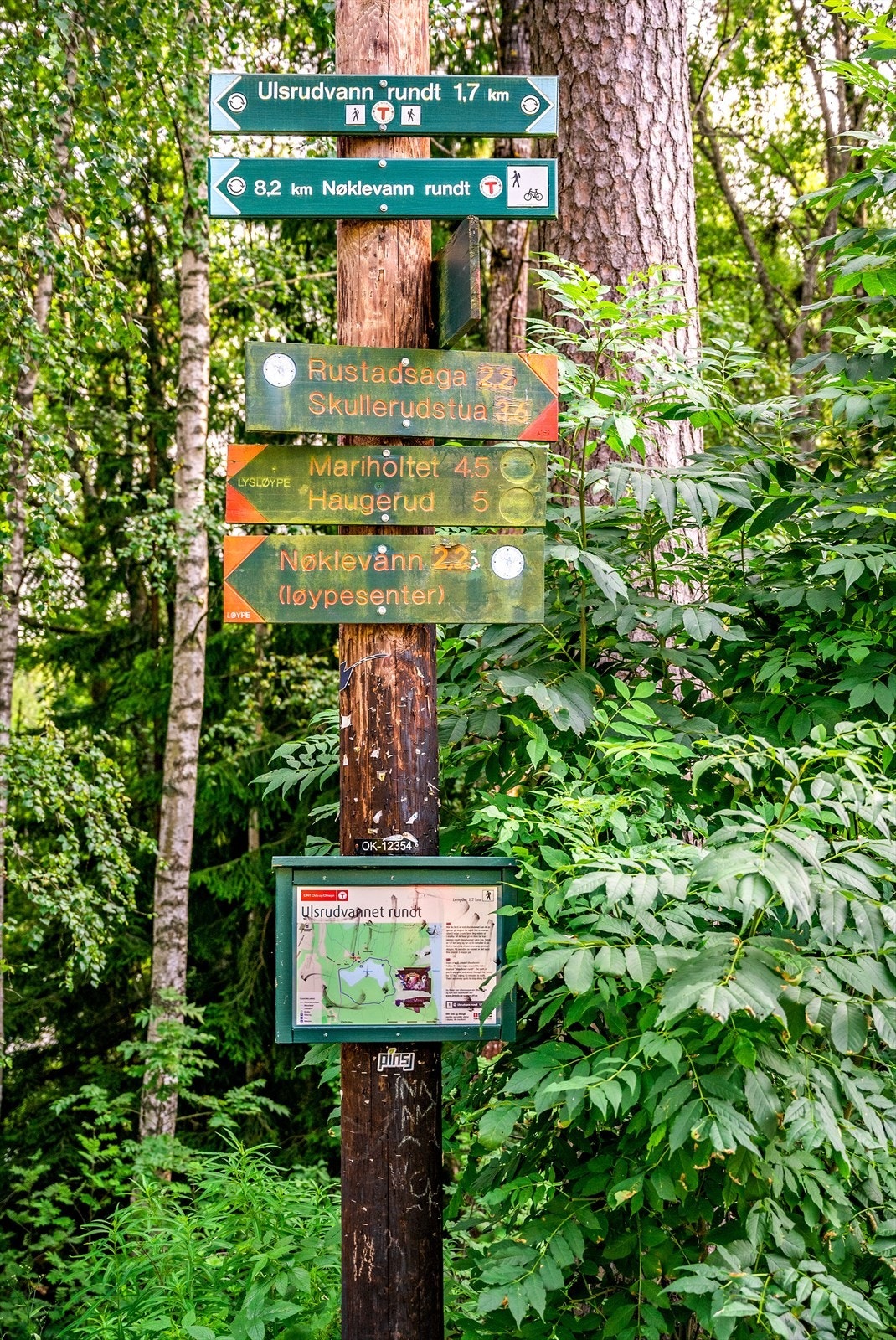 Østmarka Galleribilde