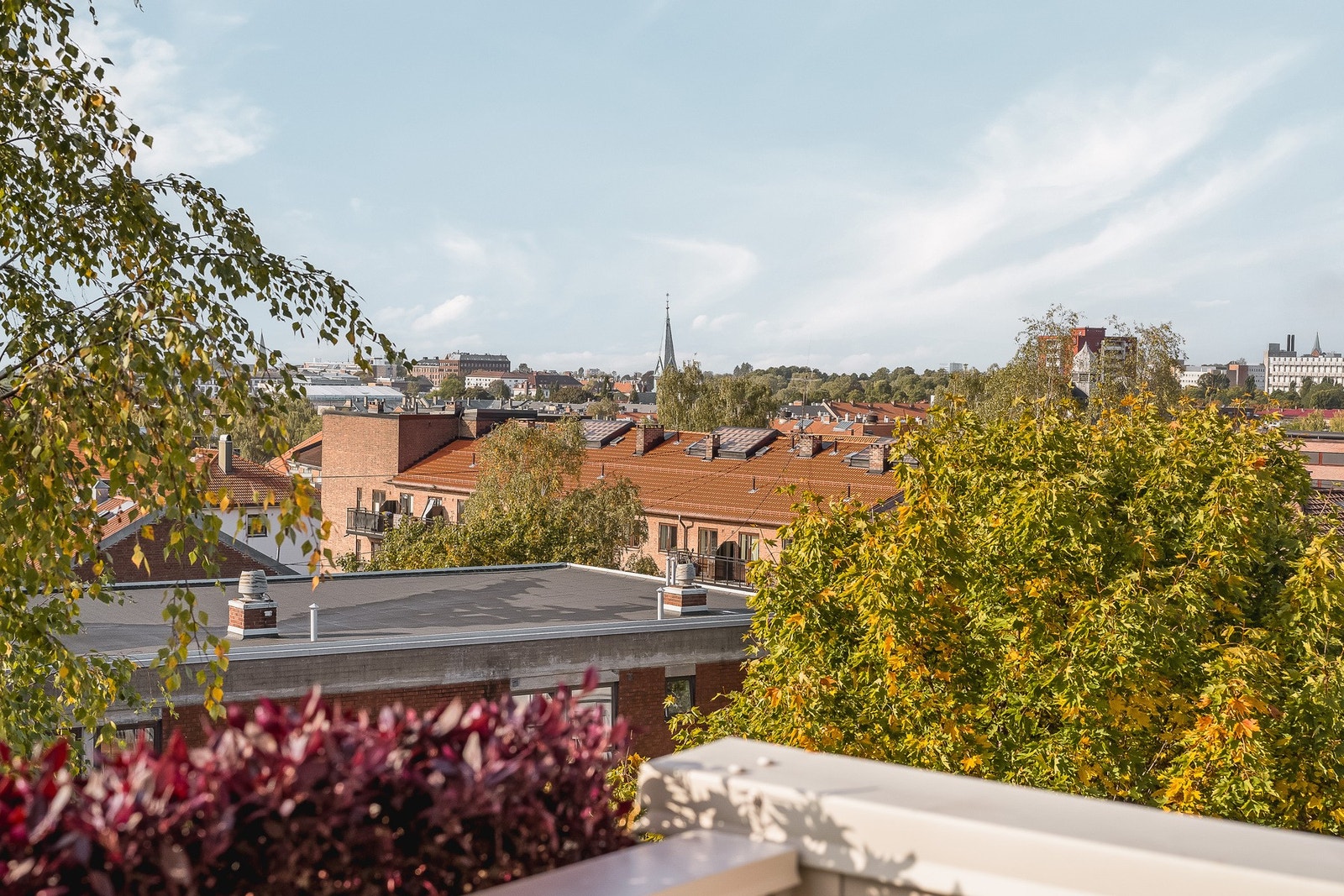 Frodig og grønt utsyn sommerstid. Galleribilde