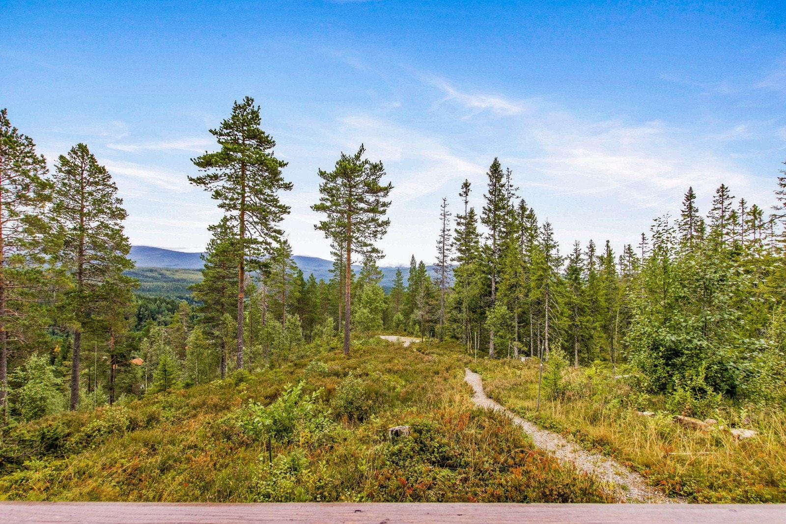 Når man er heldig eier av hytte i dette området, har man anledning til å bli en del av Seter Hytteeierforening Galleribilde