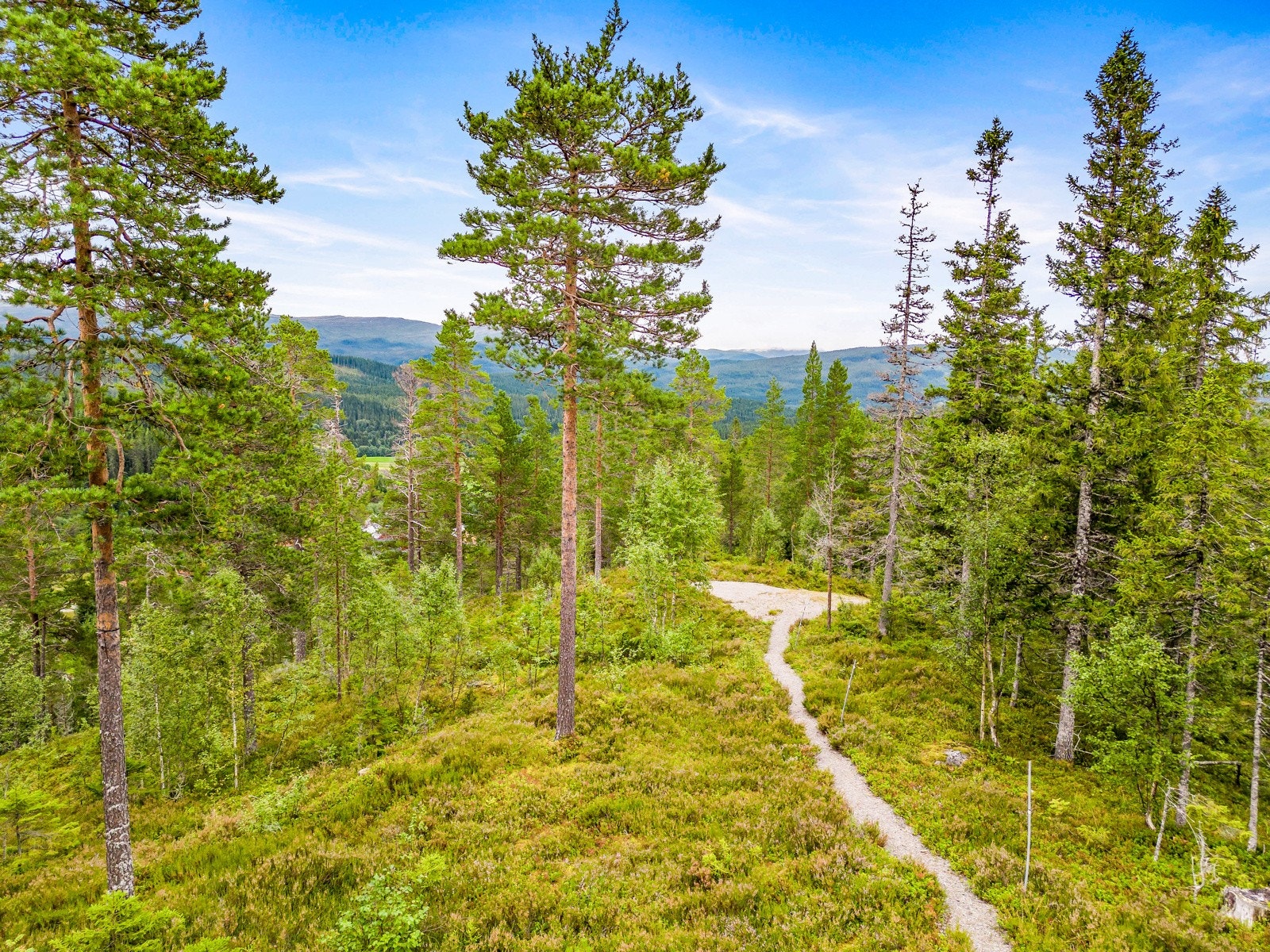 Flotte turmuligheter sommer som vinter, og det er bare å traske ut døra å nyte turen Galleribilde