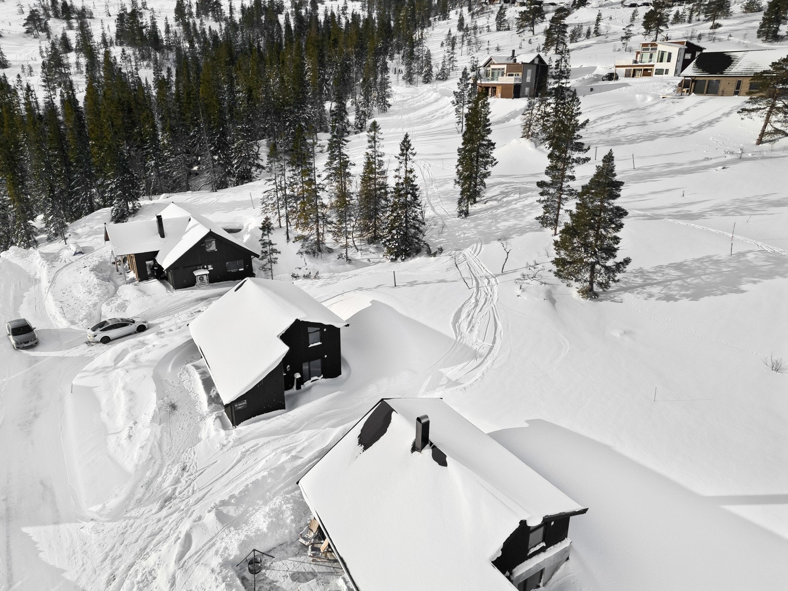 4 heiser tar deg opp til de 15 forskjellige nedkjøringene. Her har man alt fra barnebakker og familiebakker til terrengpark. Galleribilde