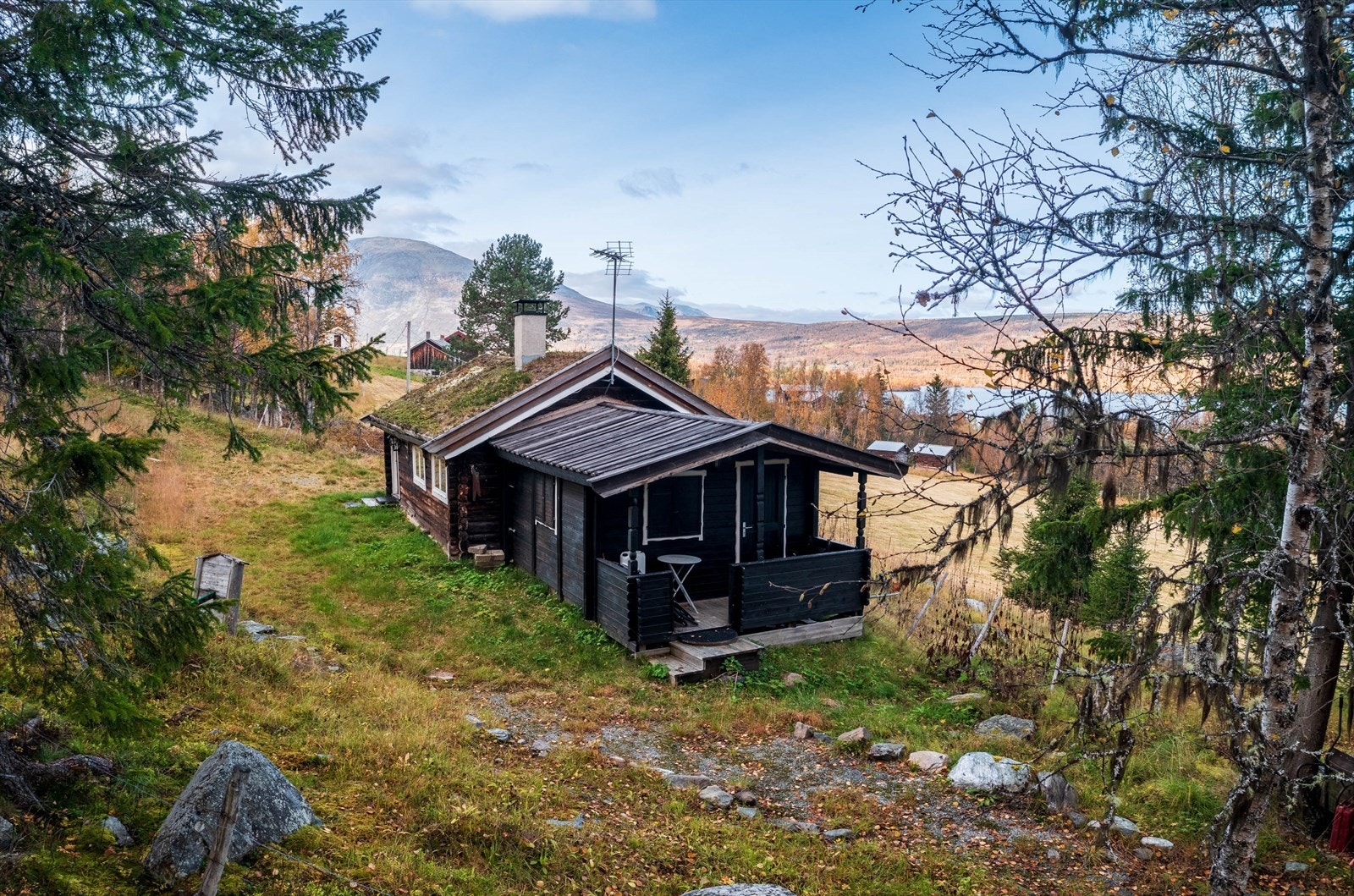 Galleribilde