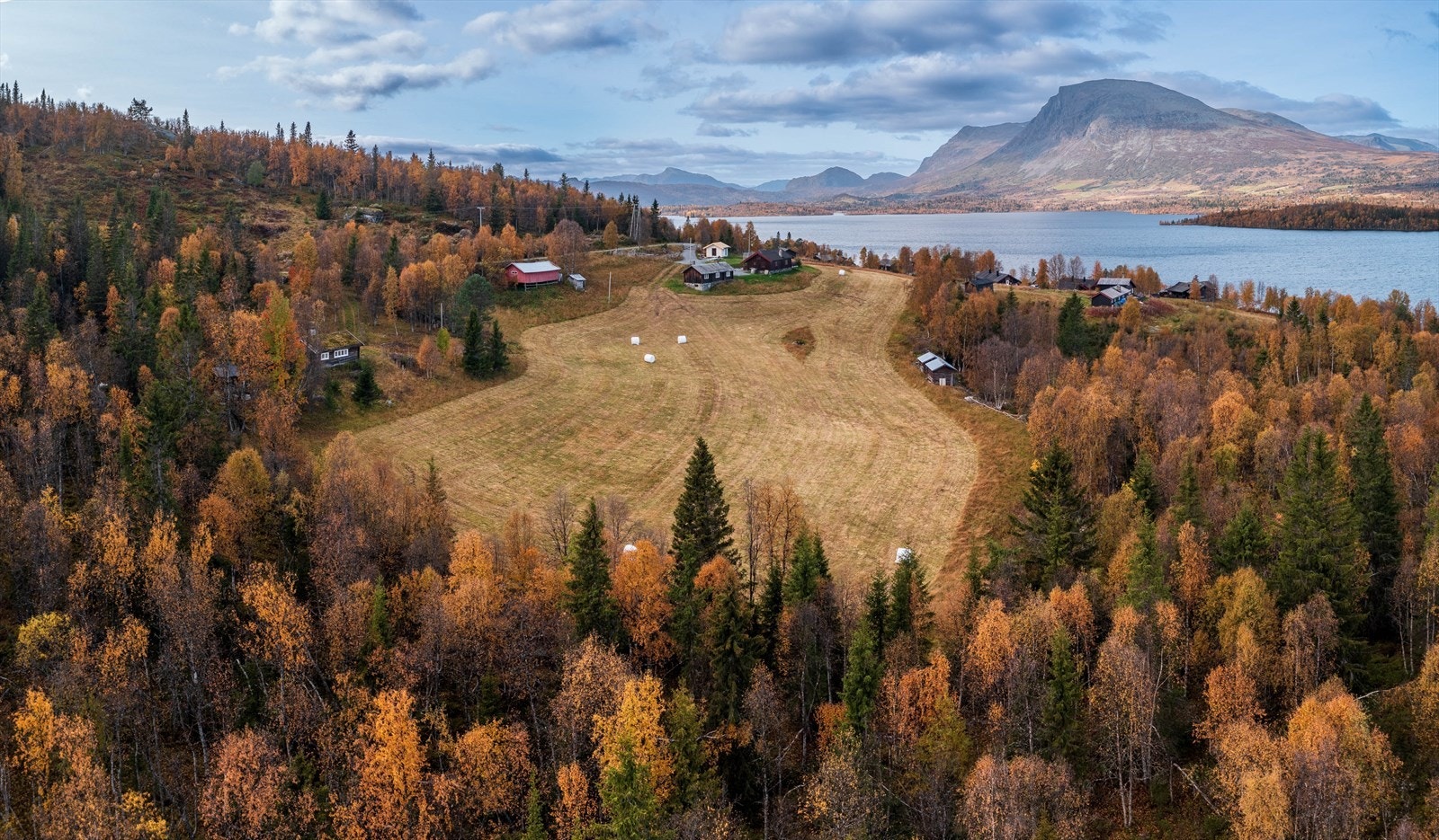 Høstbilder Galleribilde
