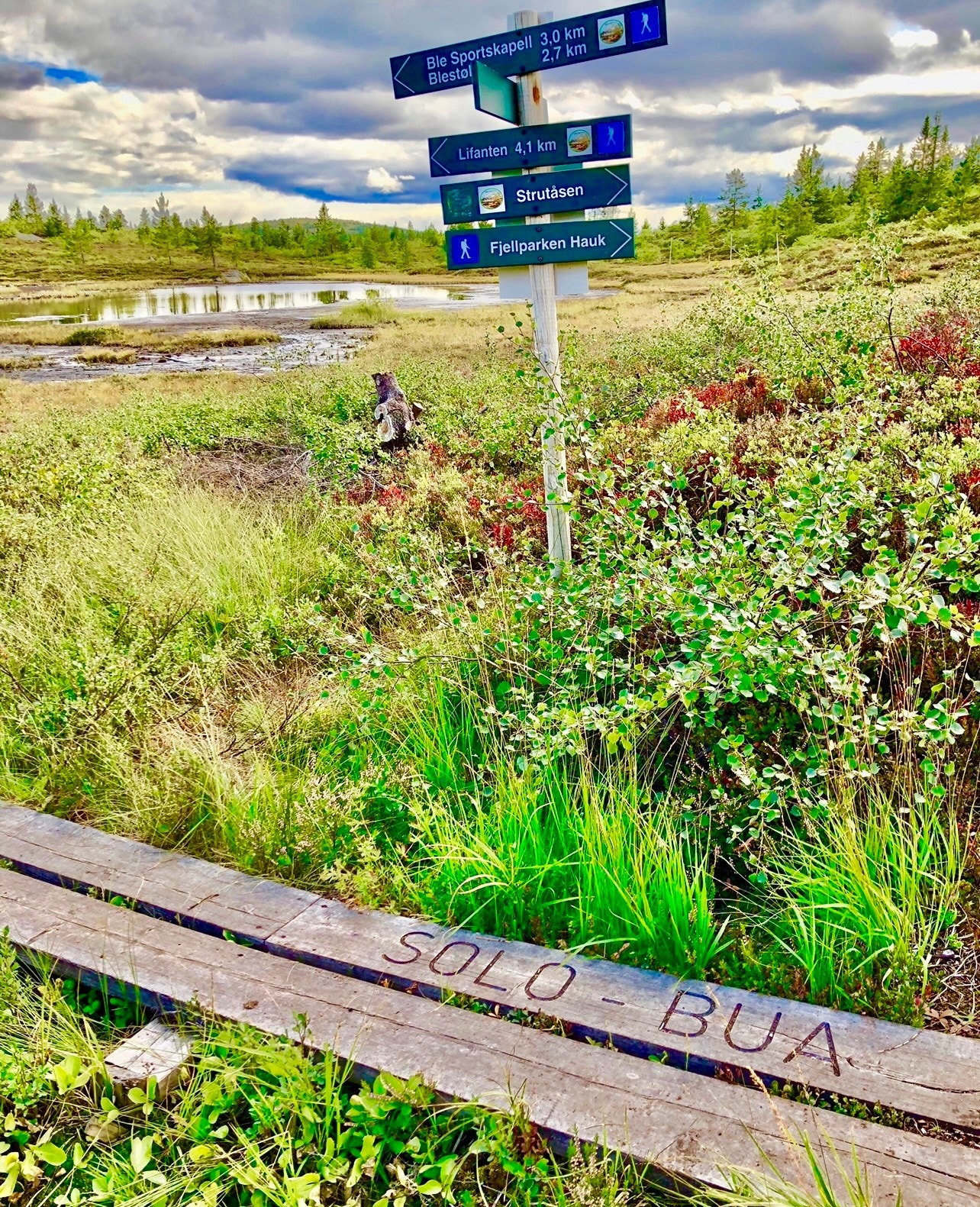 Blefjell byr på unike fjellopplevelser og godt merkede stier. Galleribilde