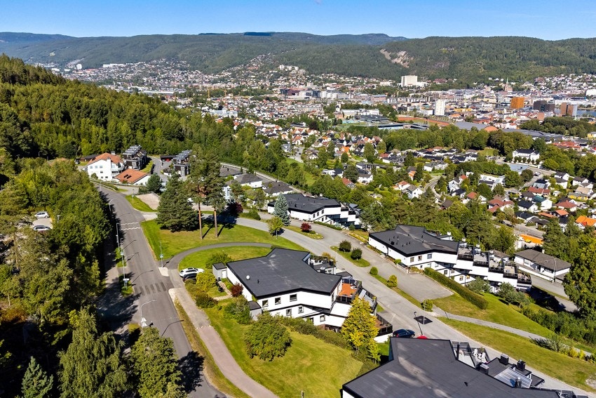 Område. Galleribilde