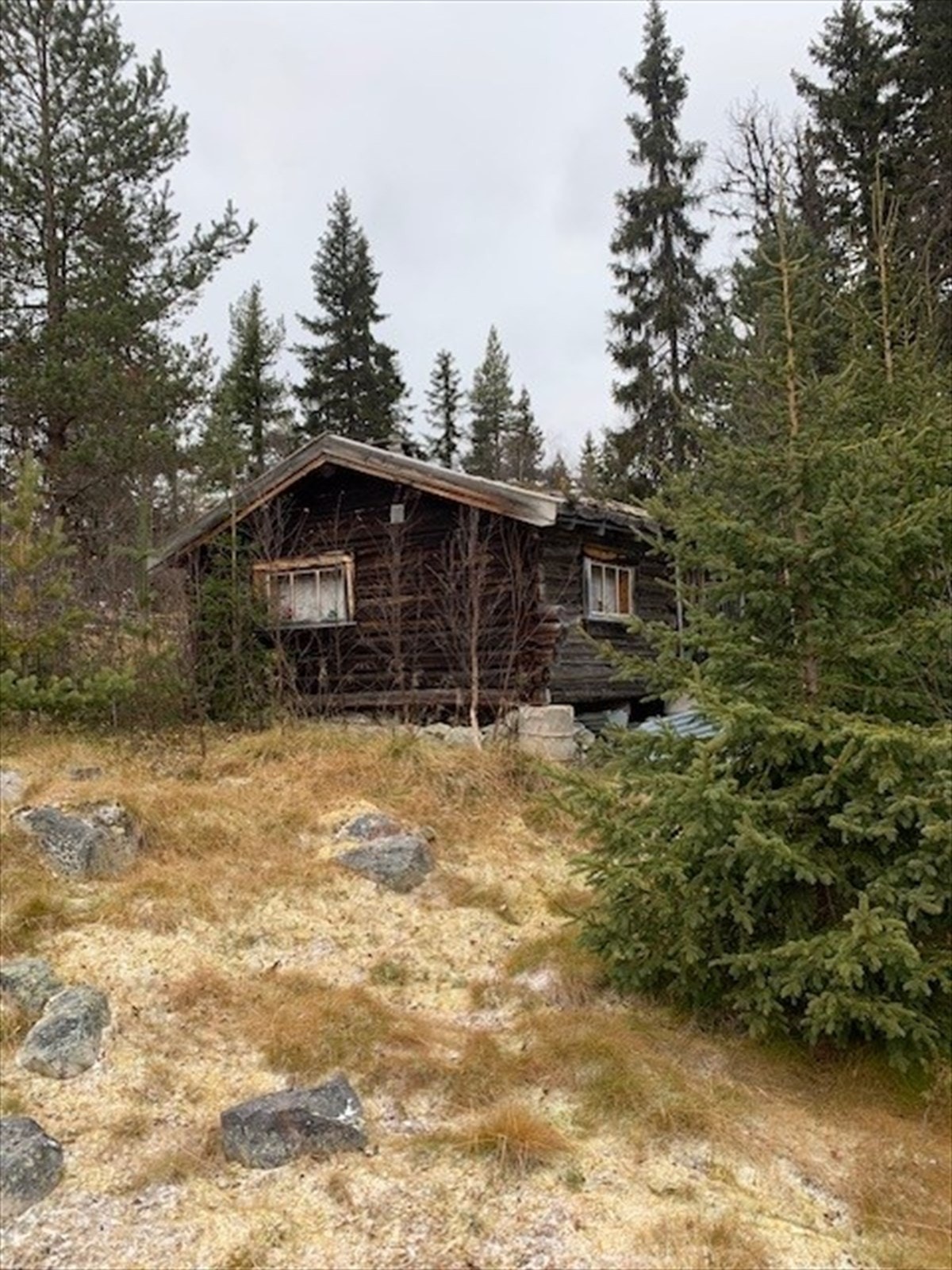 Setra på Hanestadkjølen Galleribilde