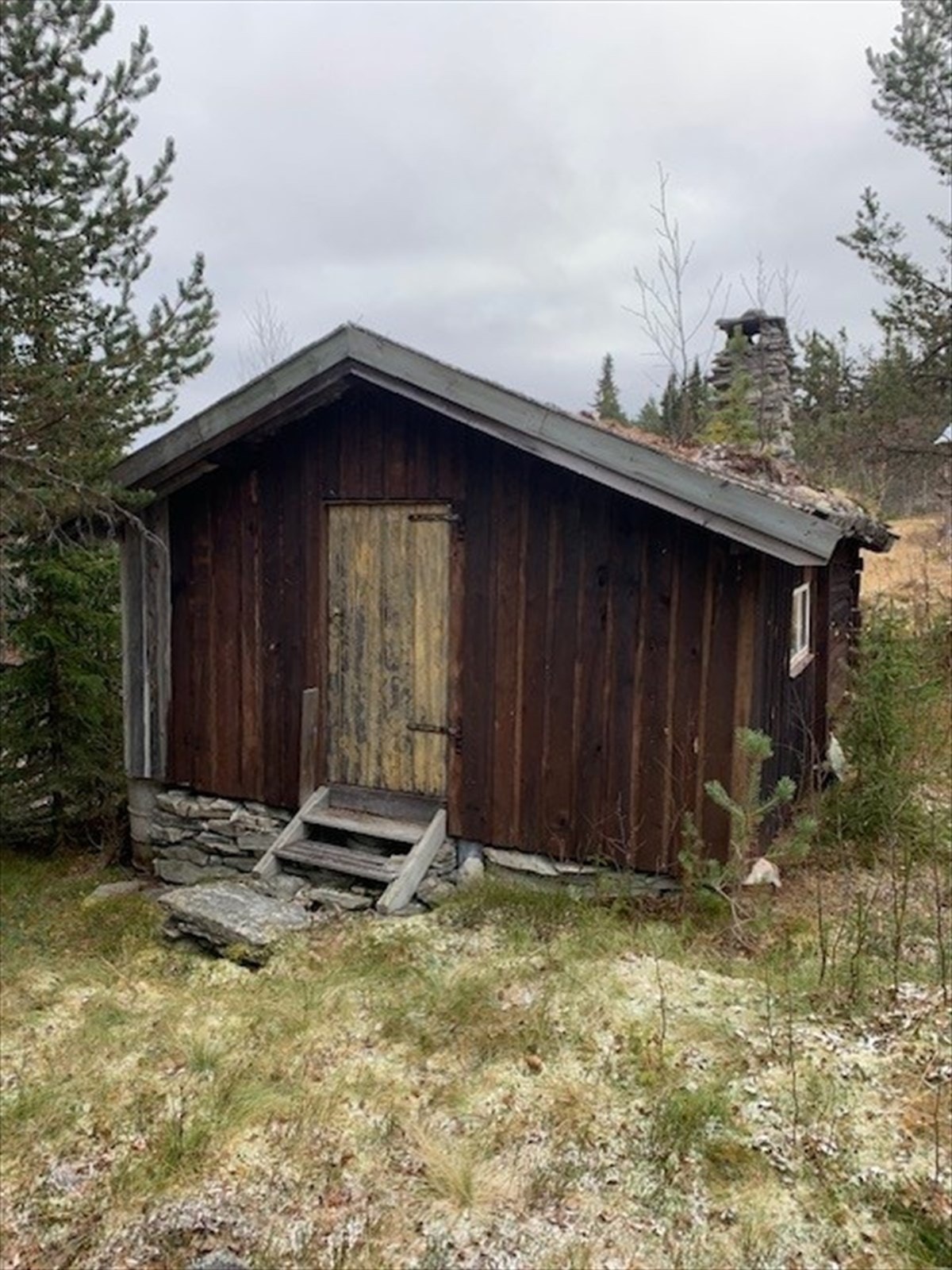 Setra på Hanestadkjølen Galleribilde