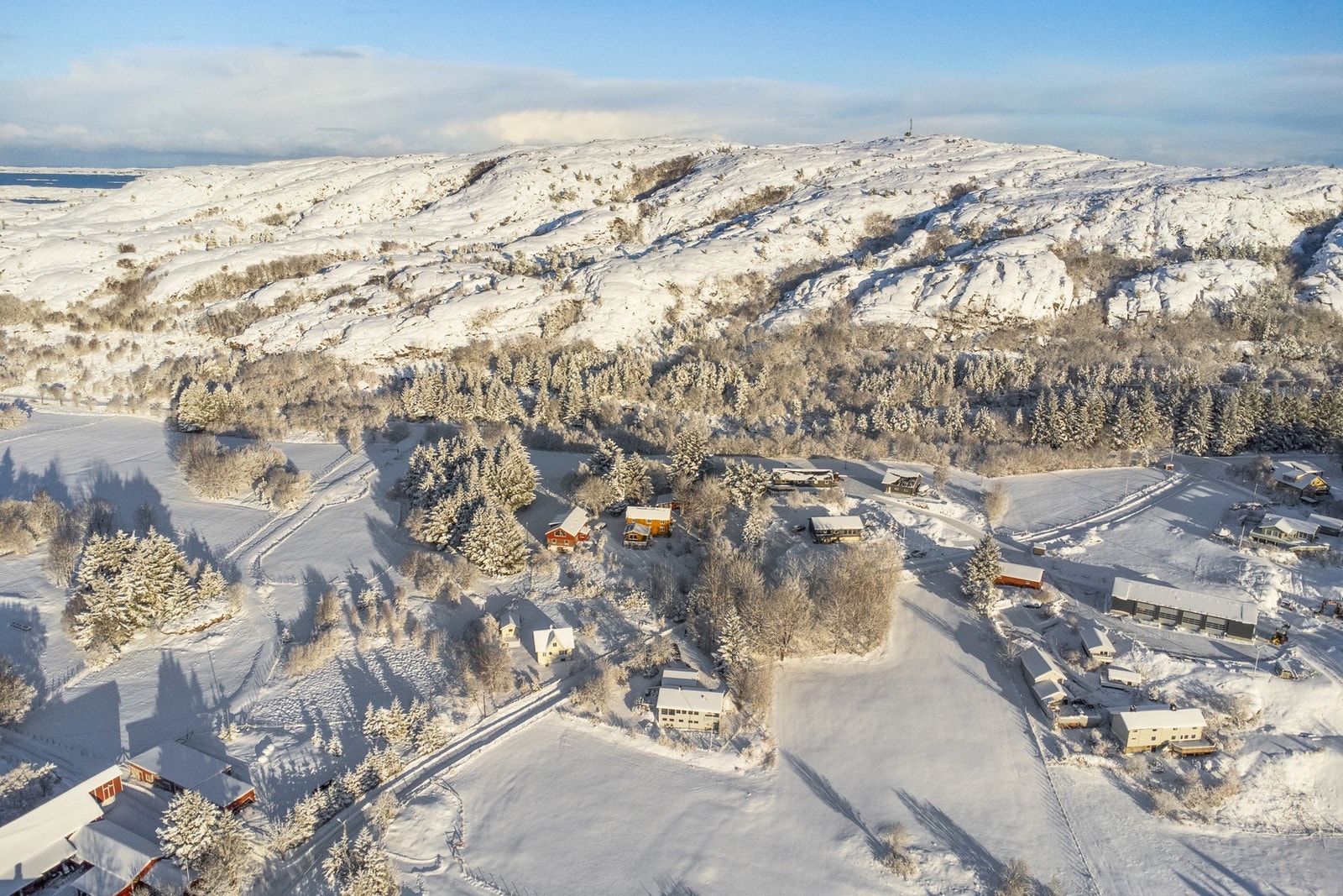 Velkommen til visning! Galleribilde