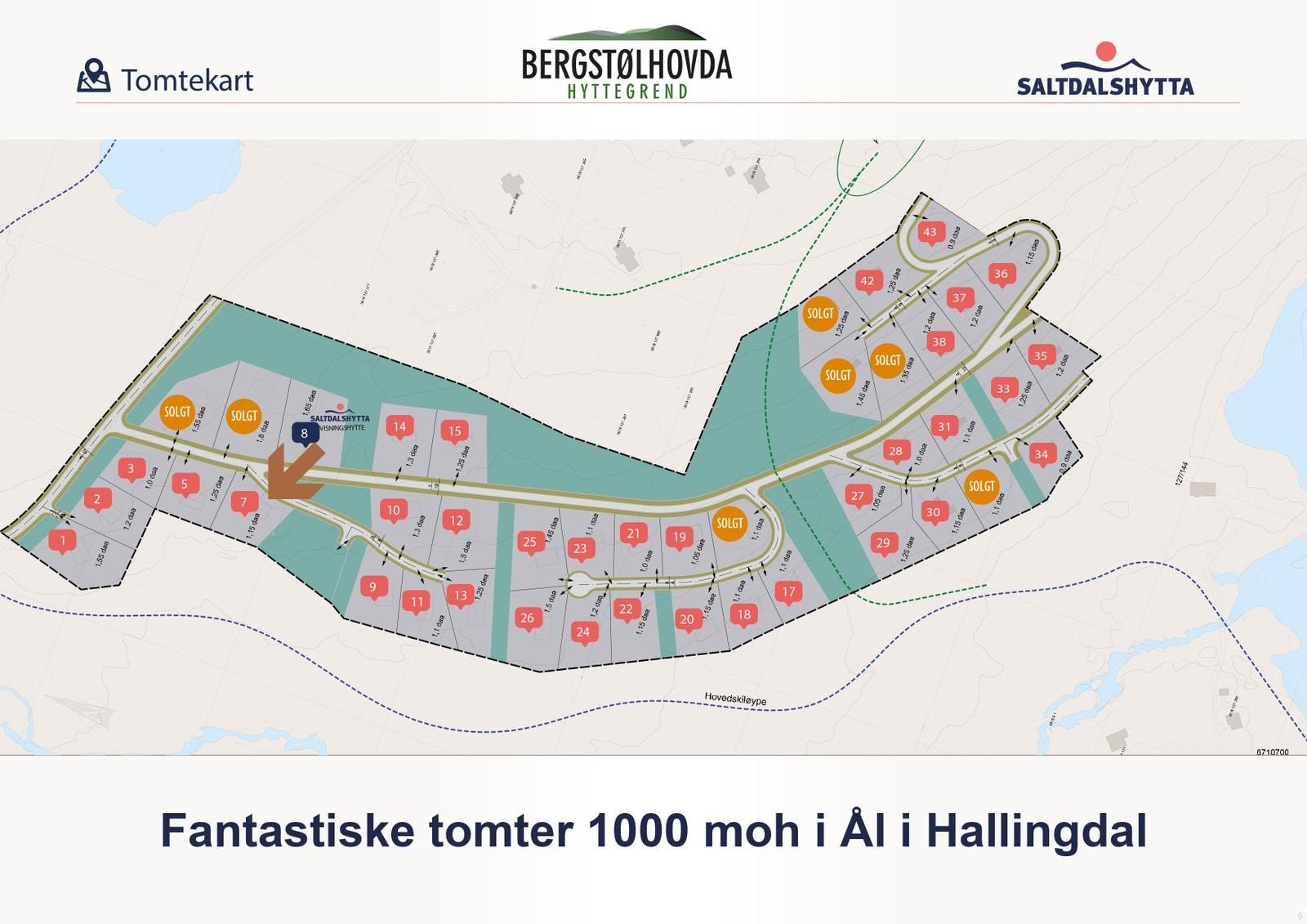 Oversikt tomter. Galleribilde