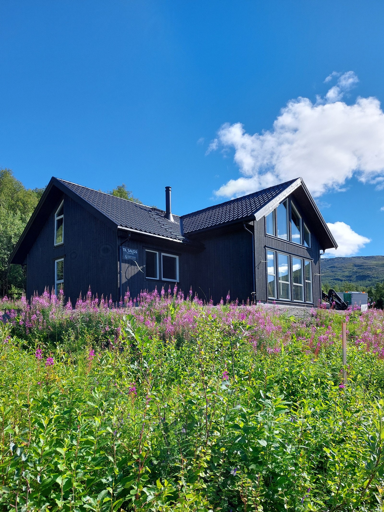 Sommerbilde Galleribilde
