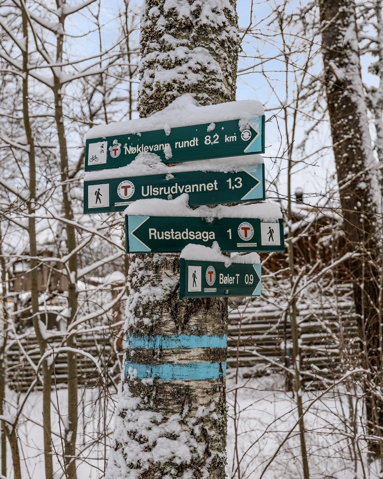 Gode turmuligheter, sommer som vinter. Galleribilde