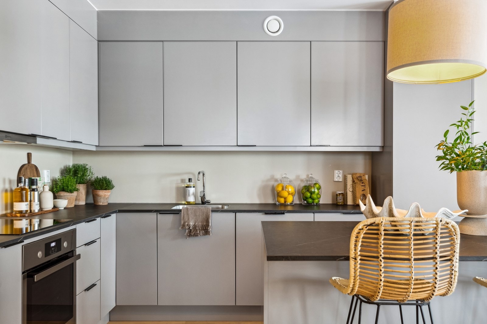 Av integrerte hvitevarer er det kjøl/fryseskap, oppvaskmaskin, AEG induksjonstopp og stekeovn, som medfølger handelen. Galleribilde