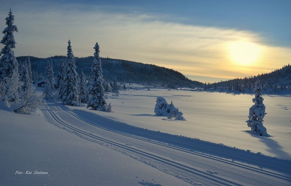 Skiløyper på Torpeåsen Galleribilde