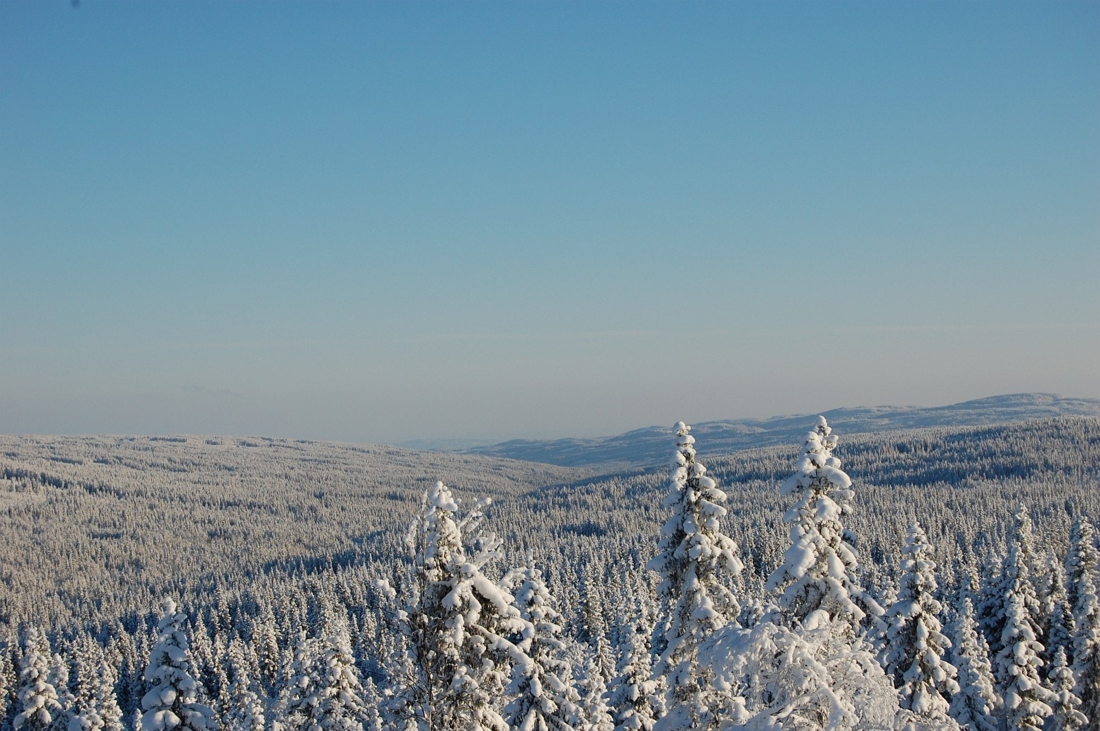 Fantastisk utsikt fra tomtene. Galleribilde