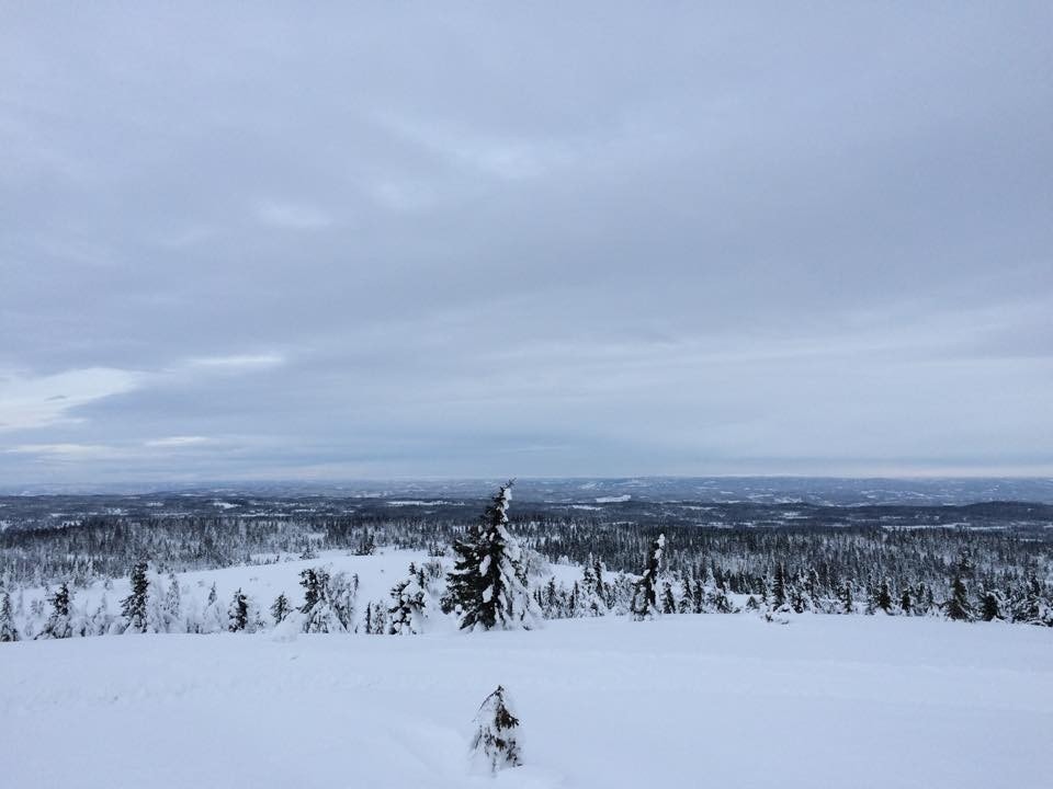 Legg skituren til Krokvassfjellet og nyt den fantastiske utsikten. Galleribilde
