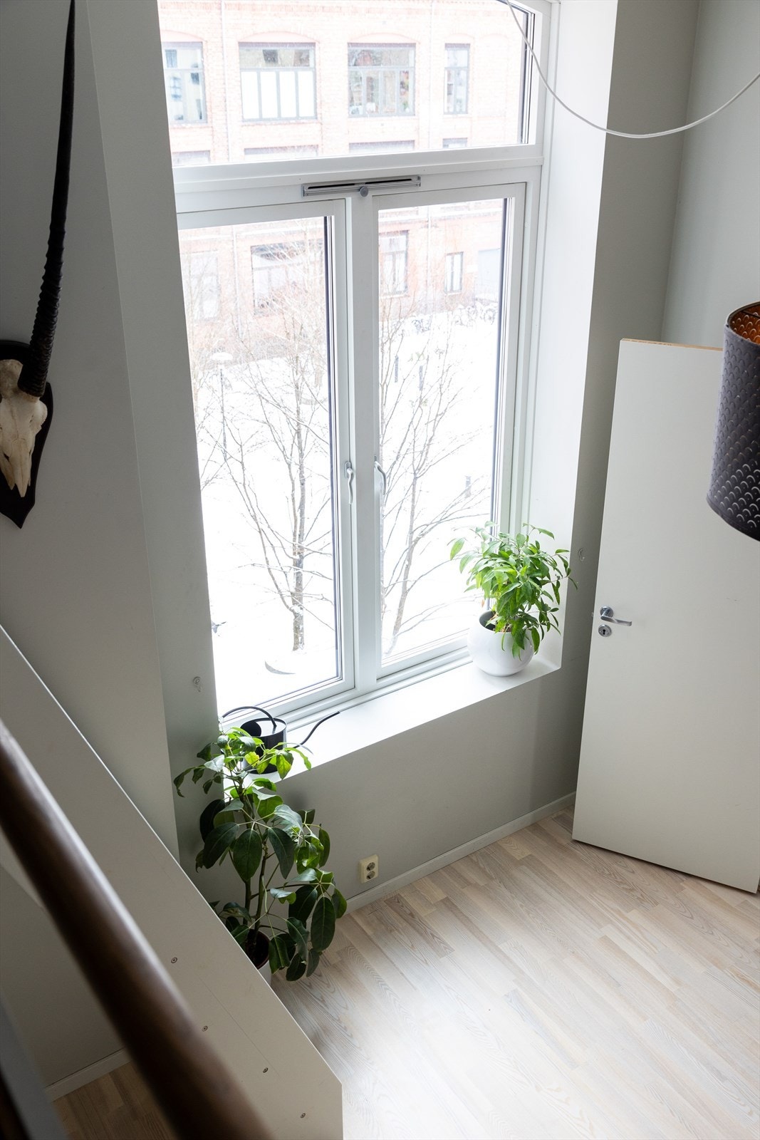 Store og flotte vinduer som slipper rikelig med dagslys inn i leiligheten. Vinduene ble skiftet ut i 2021. Galleribilde