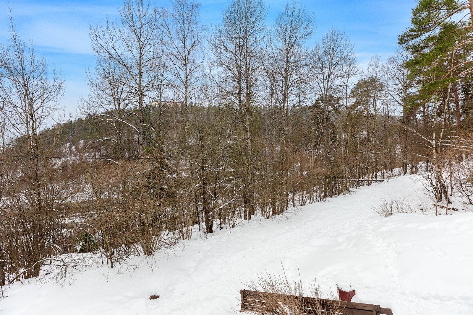 Utsikt fra balkongen - Skiløypene starter ved inngangen til skogen. Galleribilde