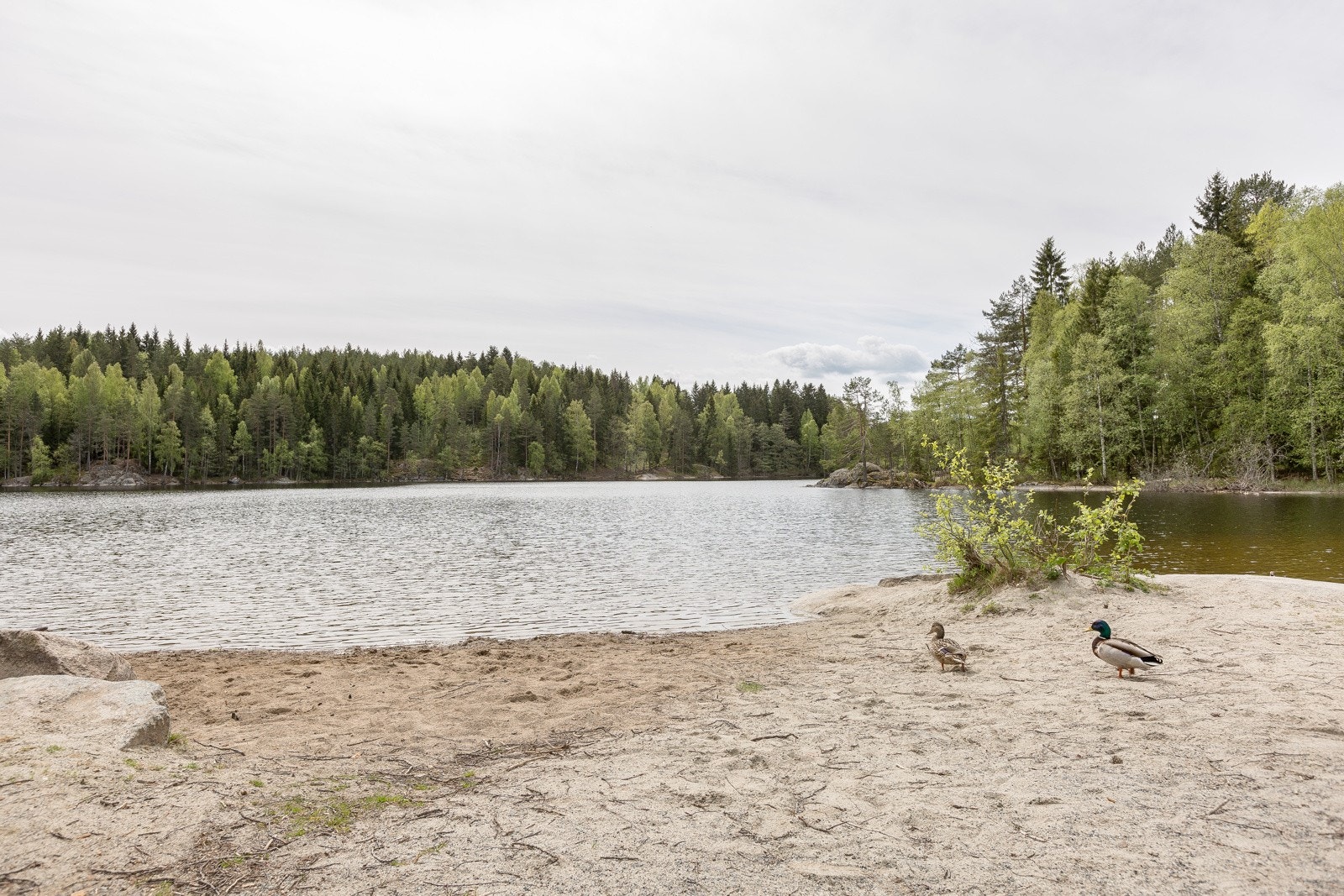 Nøklevann ligger i nærområdet og tilbyr bademuligheter og flotte turområder. Galleribilde