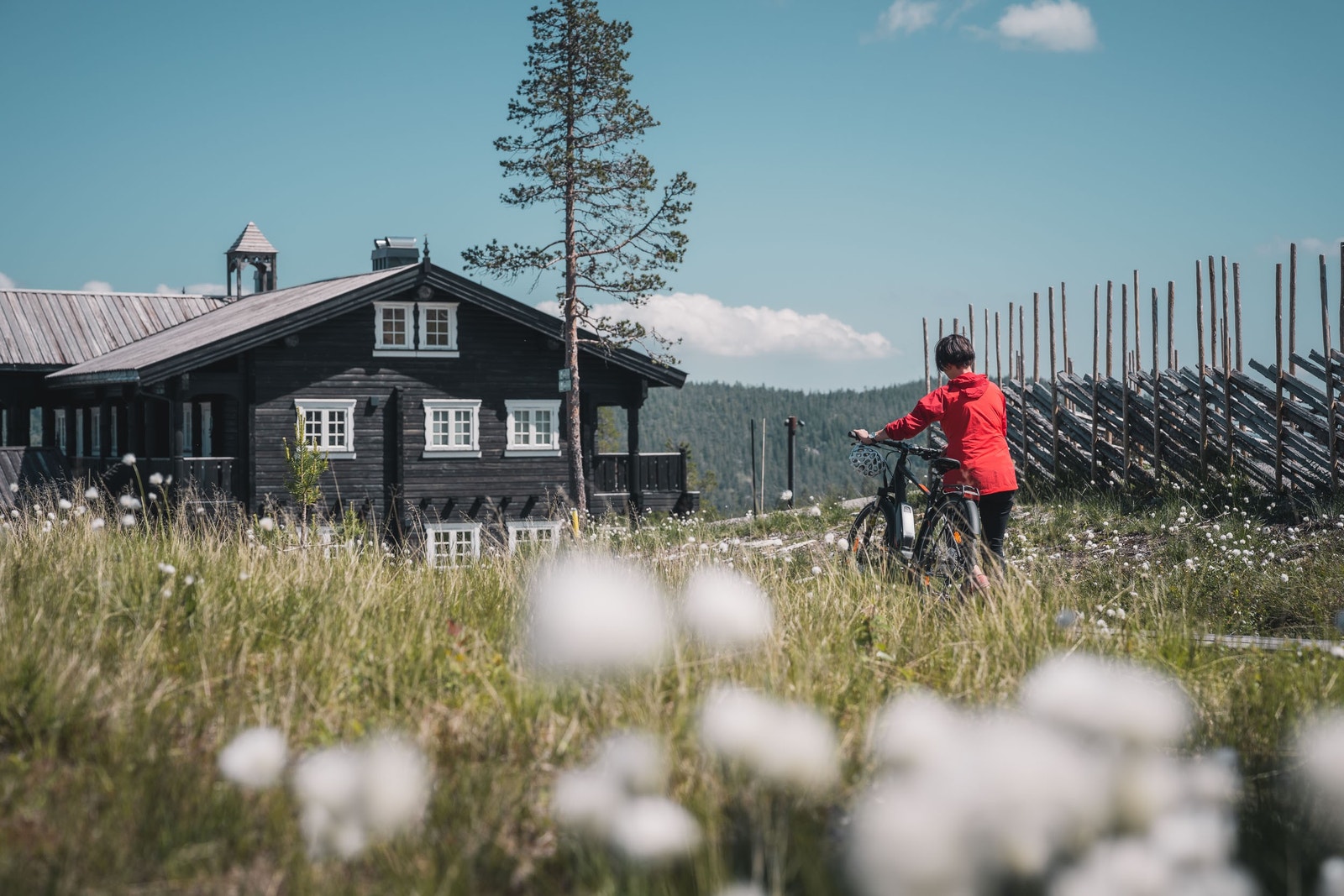 Blefjell er også idyllisk på sommeren med fine sykkel og turmuligheter Galleribilde