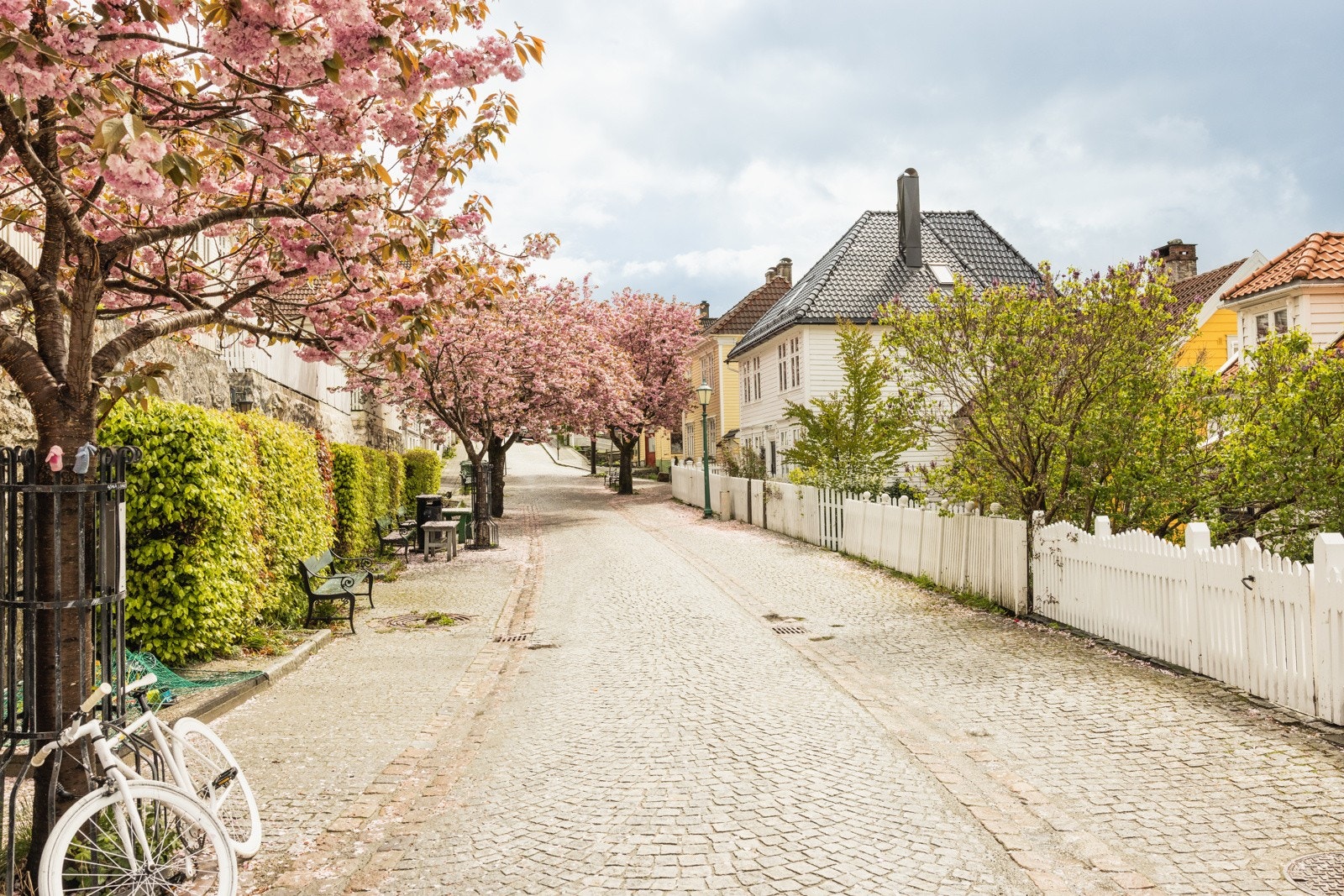 Husk å melde deg på visning - velkommen! Galleribilde