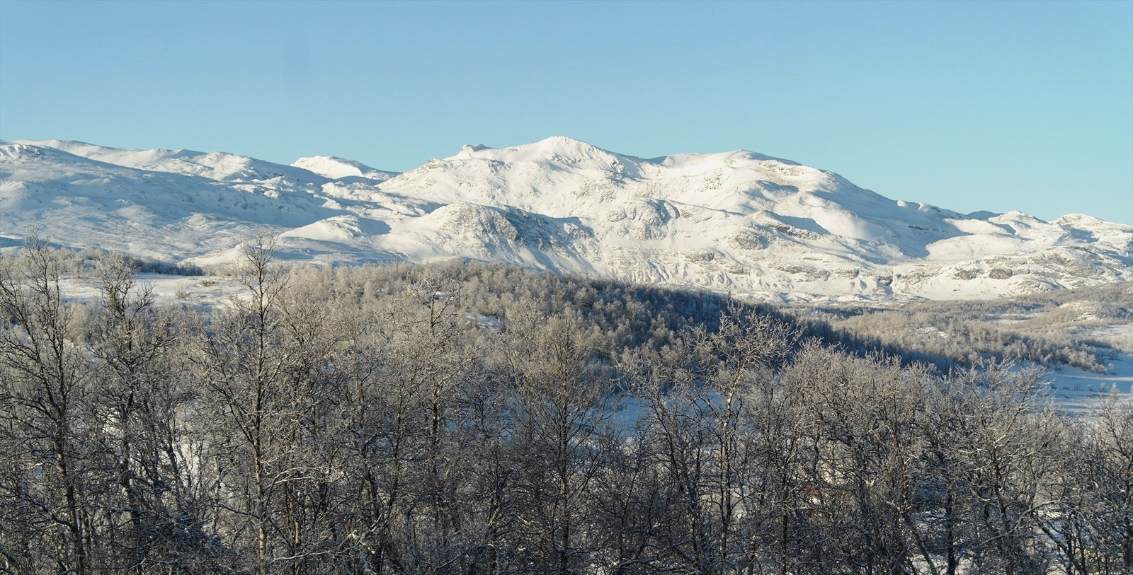 Mugnetind er et populært turmål både vinter, og sommer. Galleribilde