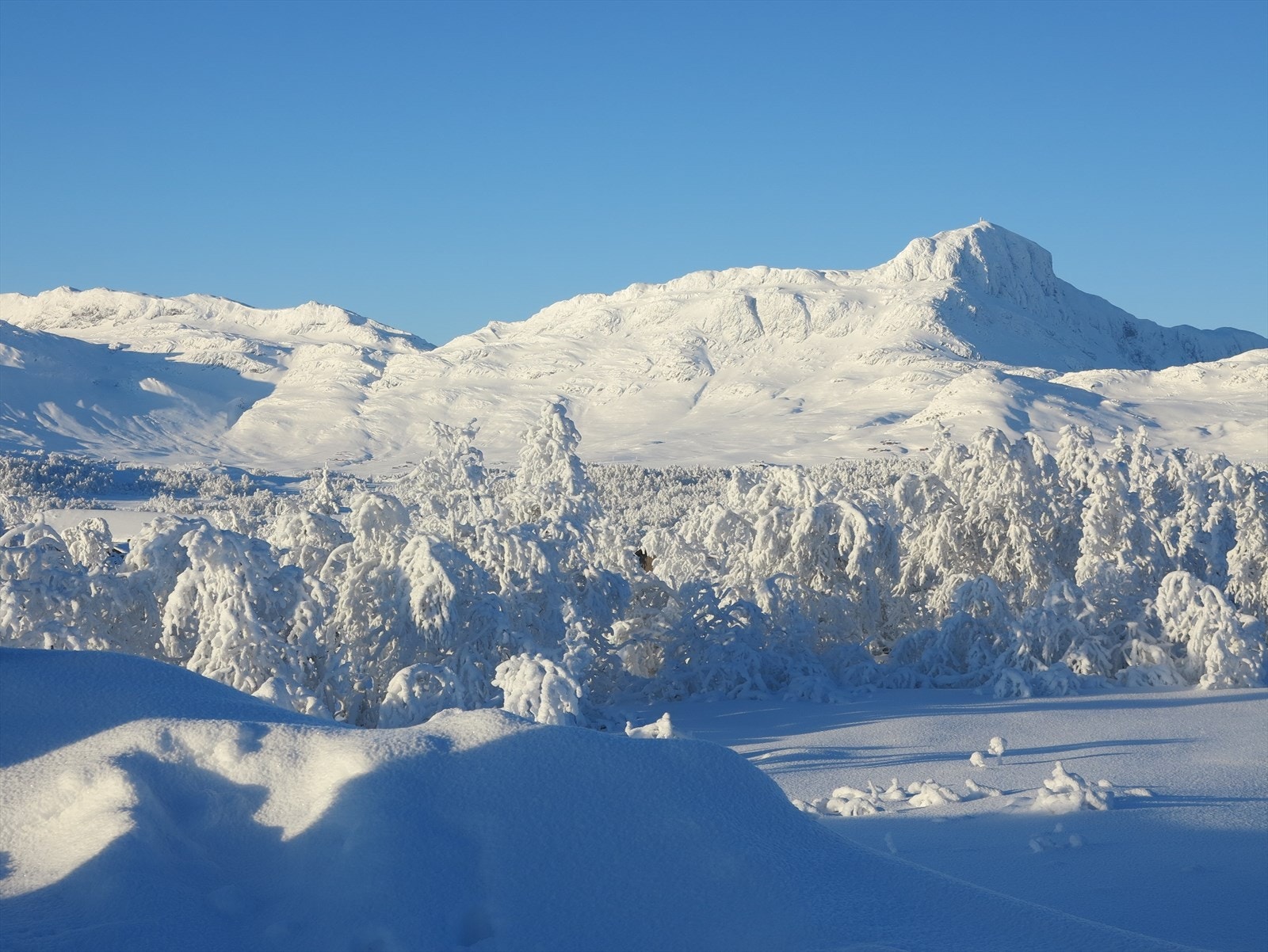 Naturskjønne Bitihorn. Galleribilde