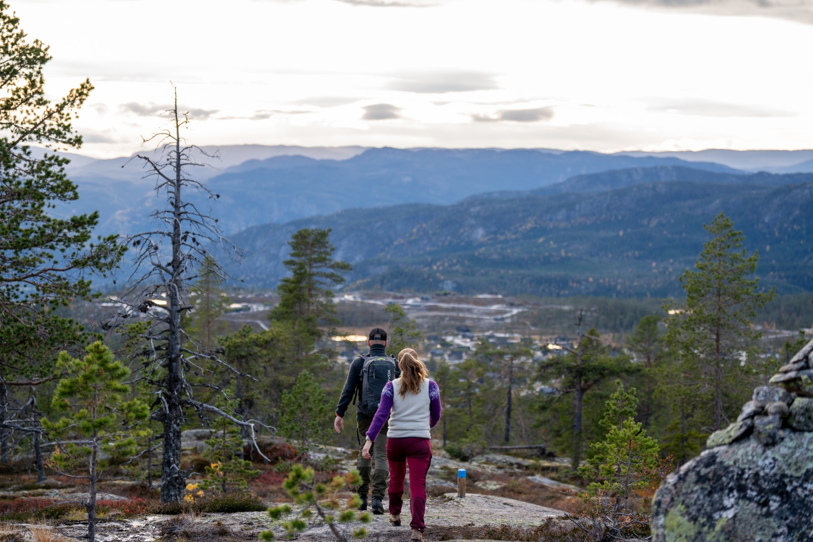 Turufjell Galleribilde