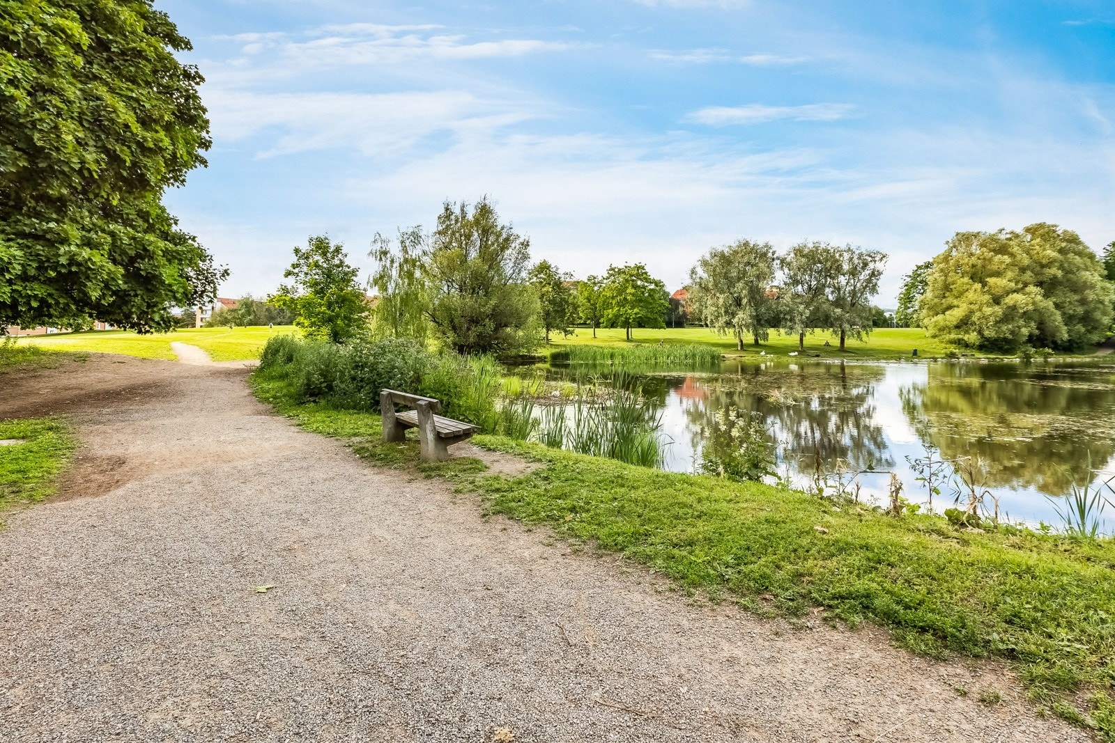Nærområde: Hovindammen Galleribilde