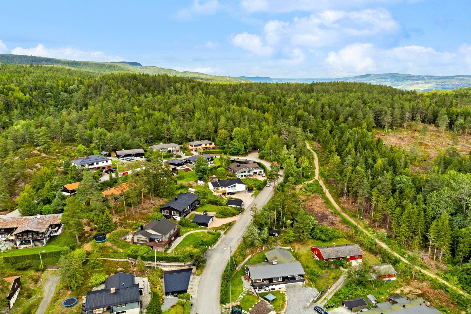 Sommerbilde - nærmiljø - rolig og barnevennlig rett ved Drammensmarka med ski- og turløypenett rett utenfor stuedøra. Galleribilde