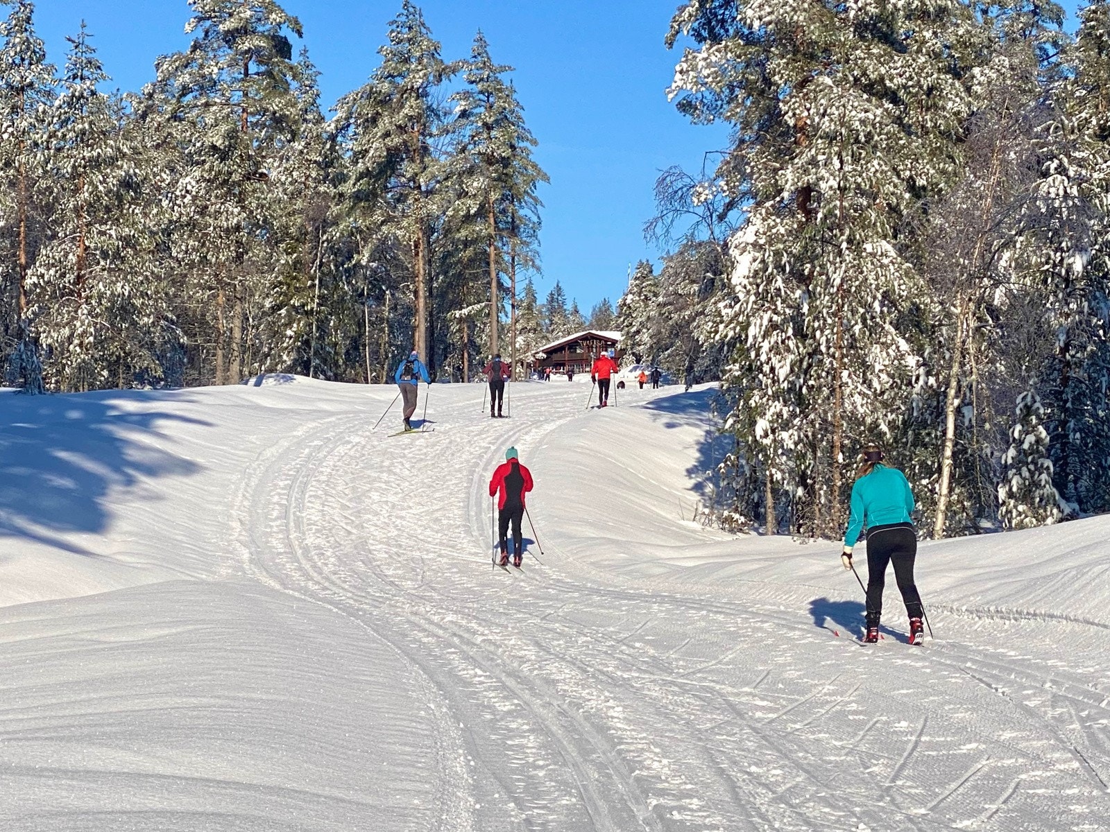 Skituren fra Landfalltjern til Tverken (skimtes i bildet) er en av yndlingsturene - sommer som vinter - til barnefamiliene Galleribilde
