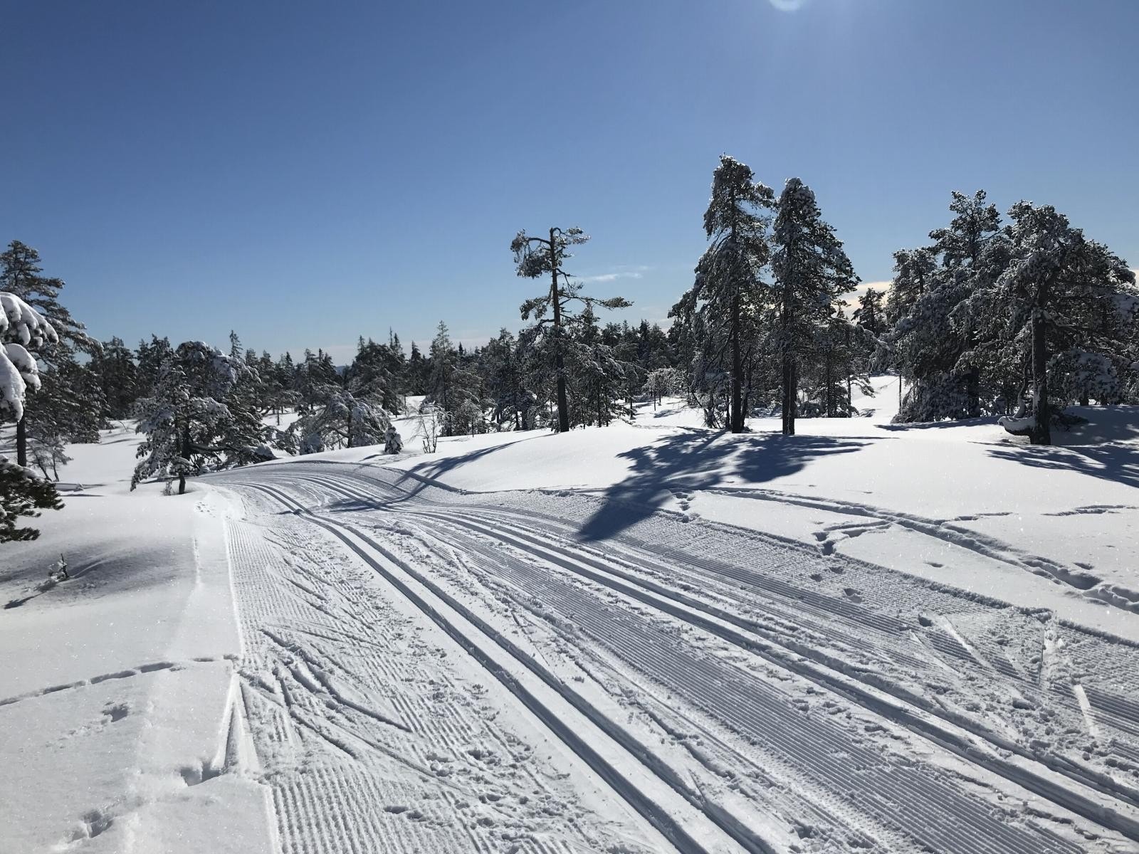 Naturskjønne omgivelser med oppkjørte skispor rett på andre siden av veien (blindvei) for huset Galleribilde