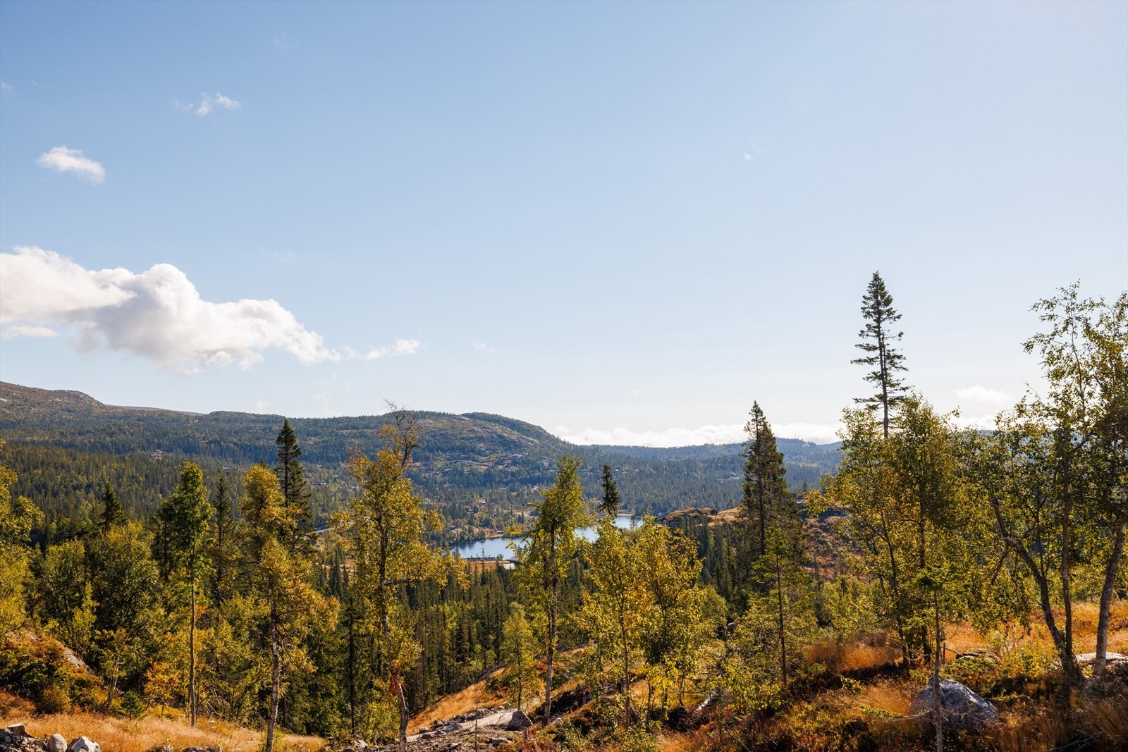 Utsiktsbilde mot Djupsjøen Galleribilde