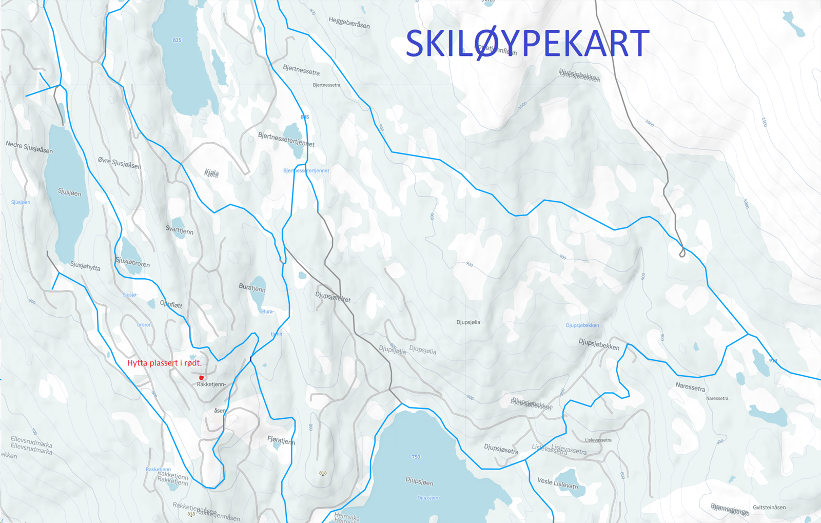 Skikart Galleribilde