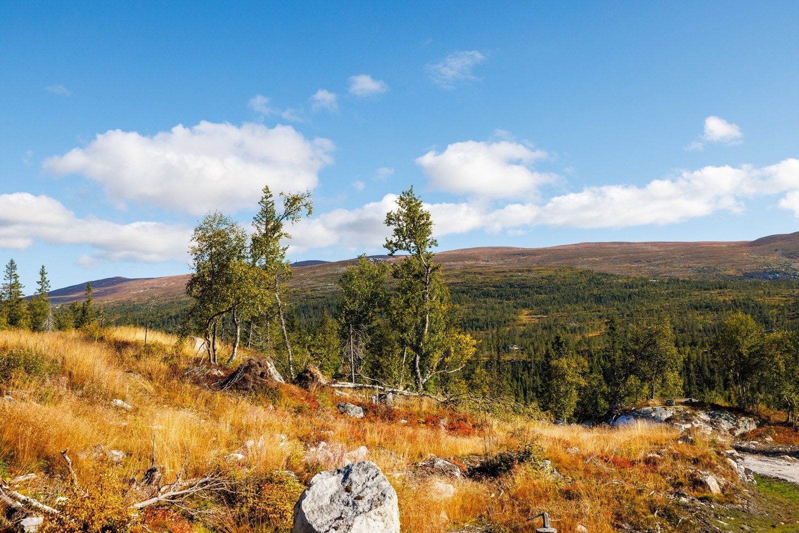 Utsikt mot Høgevarde. Galleribilde
