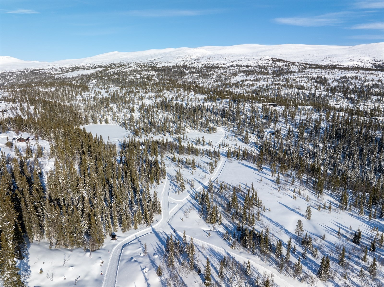 Dronefoto av skiløypenettet! Galleribilde