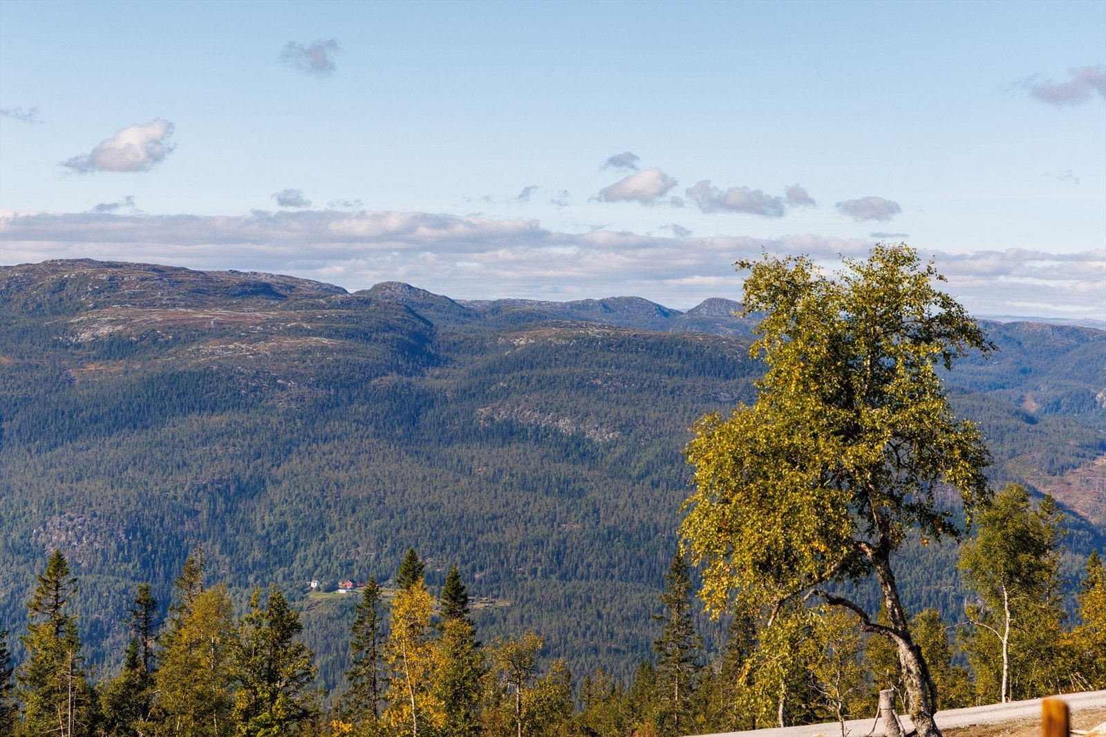 Nyt denne slående utsikten mot den norske fjellheimen! Galleribilde