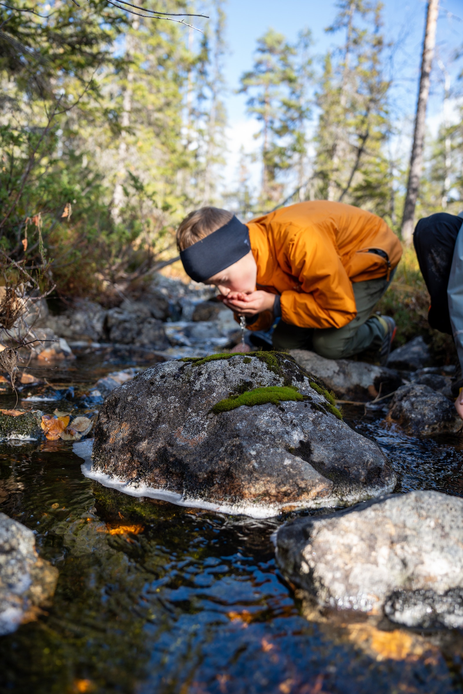 Turufjell Galleribilde