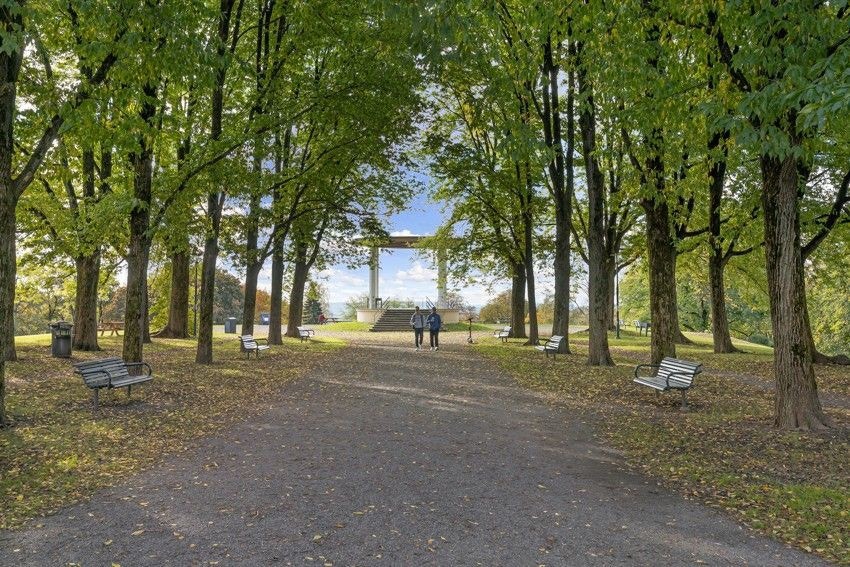 Nærområdet har mange fine parker og friområder å by på. Torshovparken, Torshovdalen og turstiene langs Akerselva er få minutters gange unna og kan brukes til bl.a. grilling, sommerleker, søndagsturer, soling, piknik, aking om vinteren m.m. Galleribilde