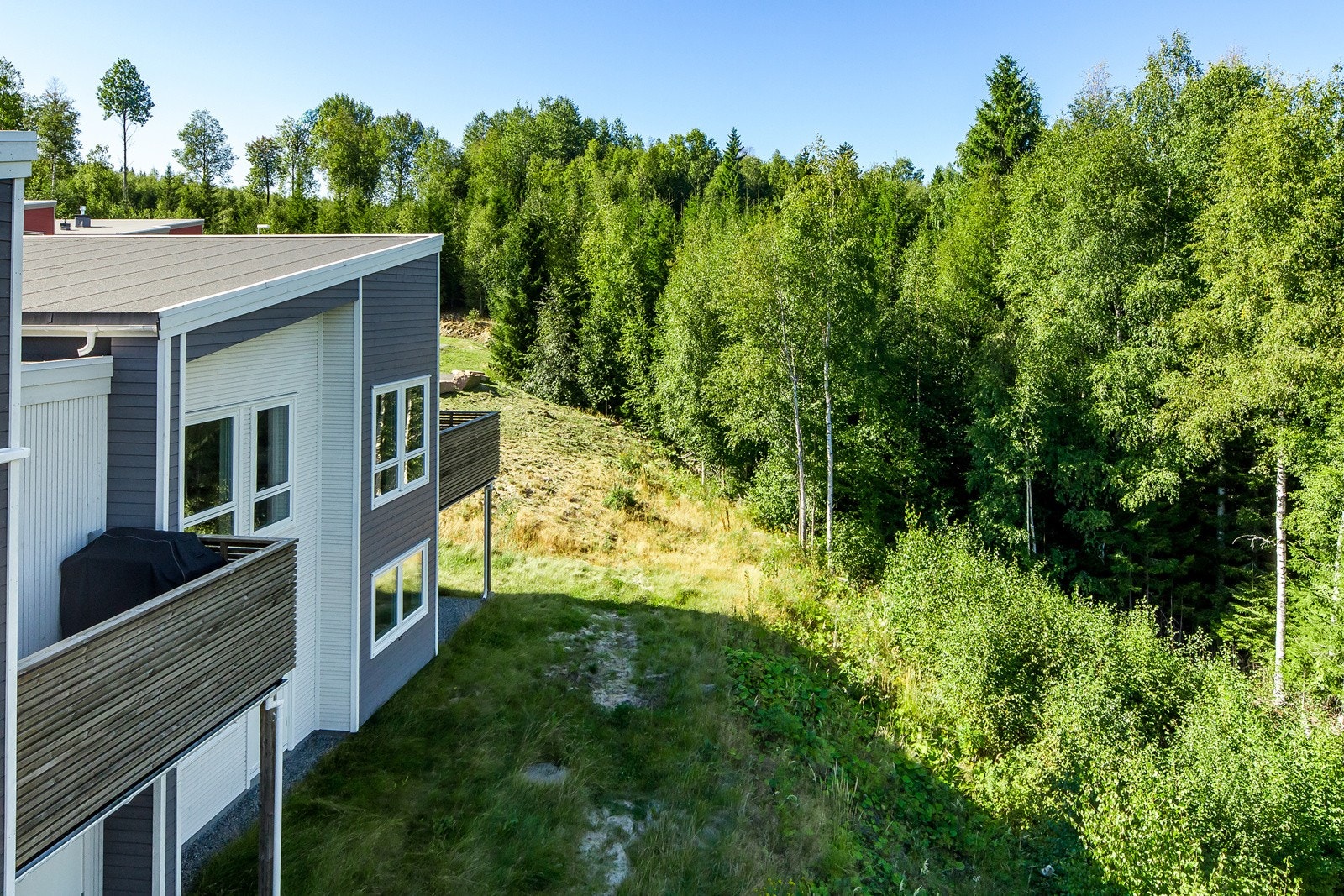 Nærmere skogkanten kommer man ikke! Galleribilde