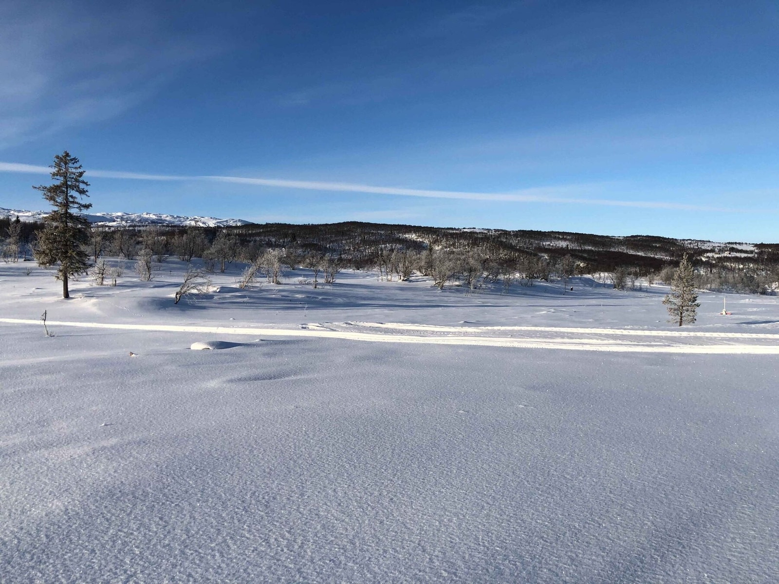 Nydelig landskap Galleribilde