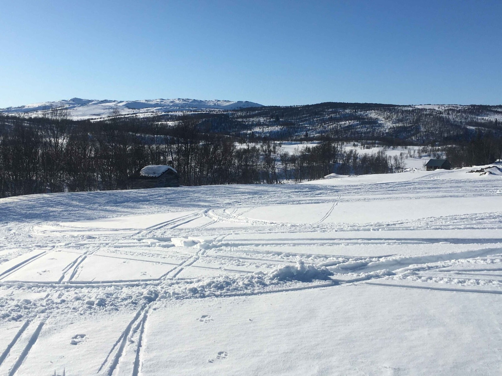 Fra tomteområdet Galleribilde