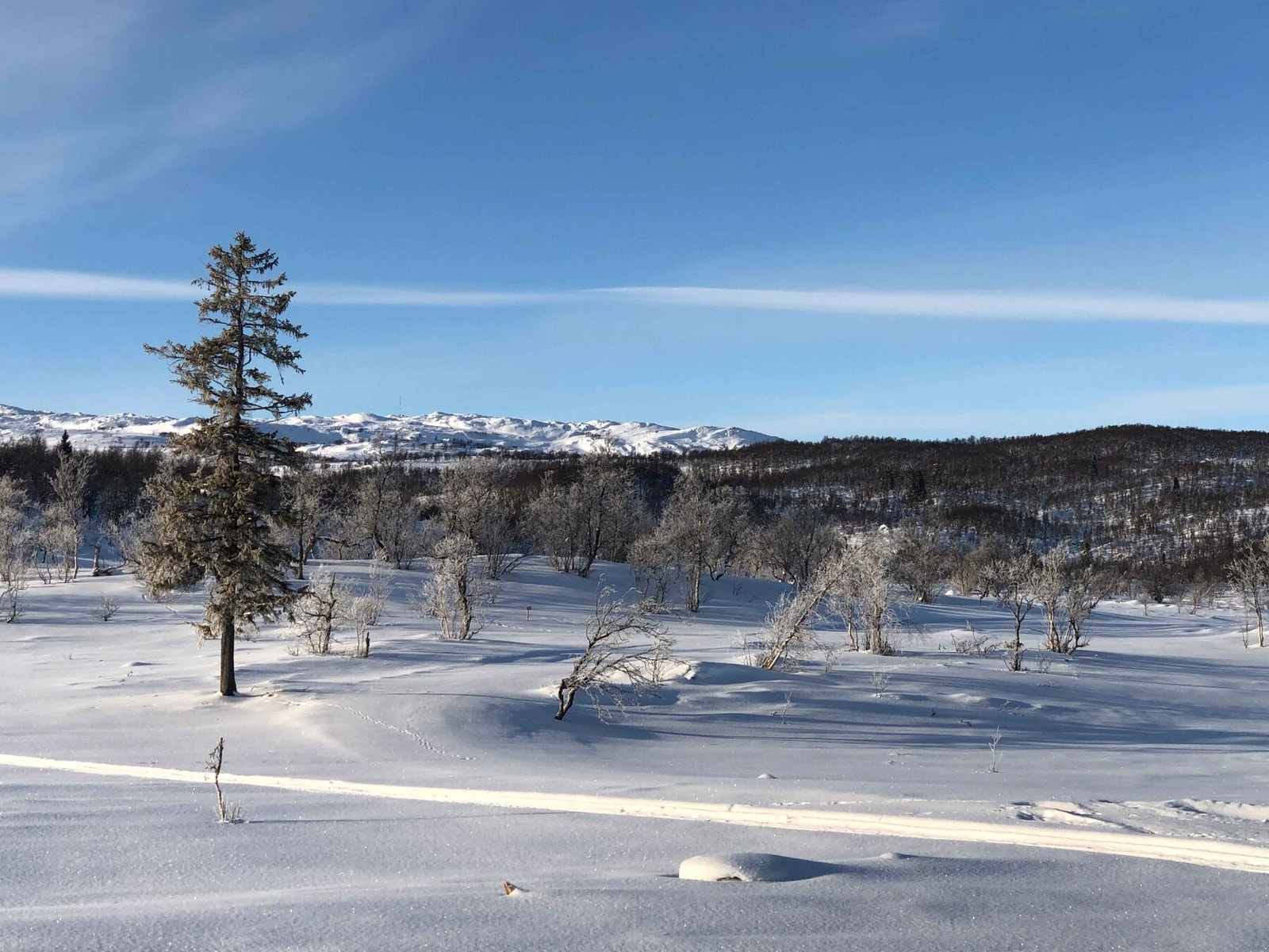 Fra tomteområdet mot fjellene rundt Galleribilde
