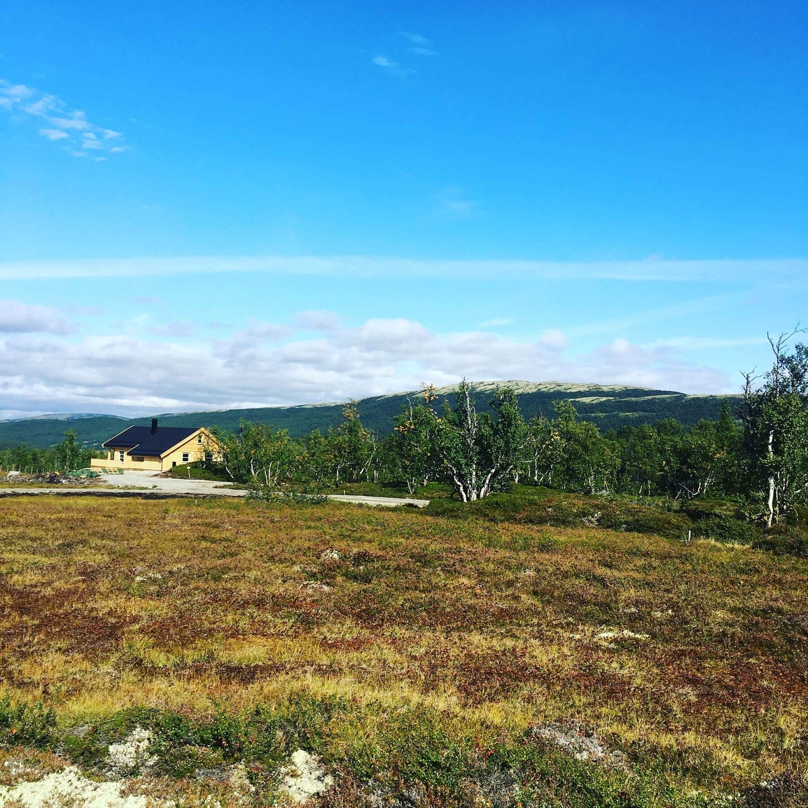Fra tomteområdet Galleribilde