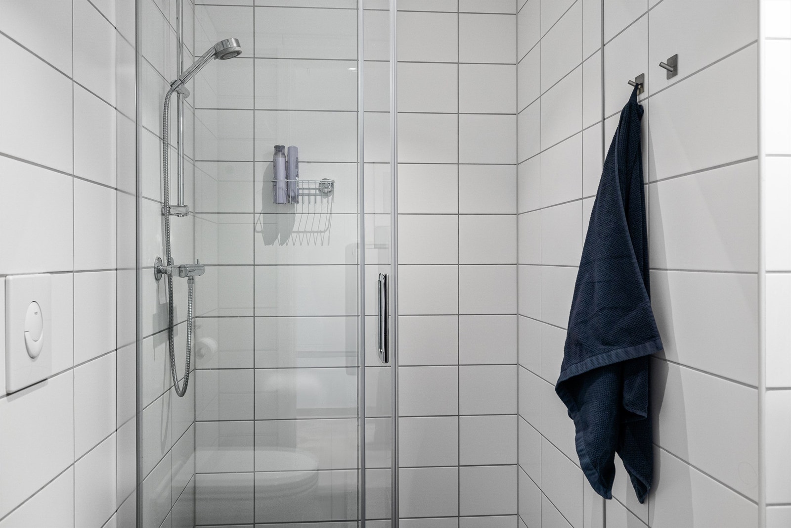 Dusjnisje med glassvegg og glassdør. Vegghengt dusjarmatur Galleribilde